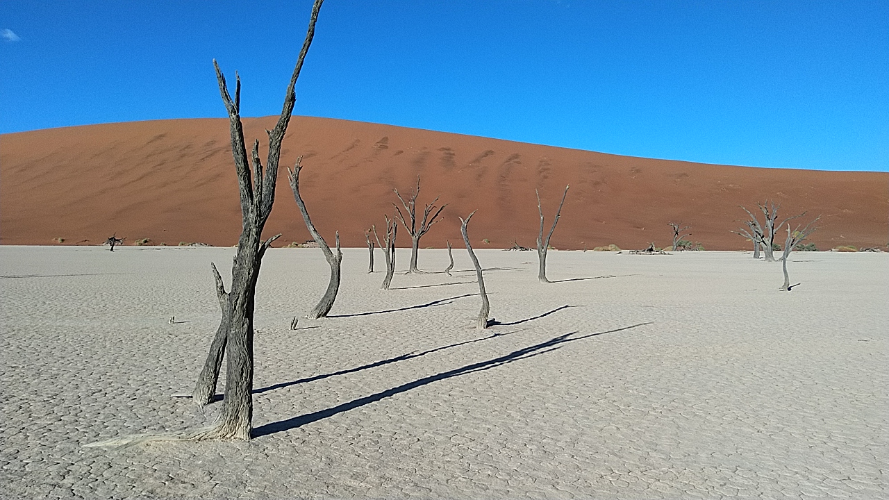 deadvlei