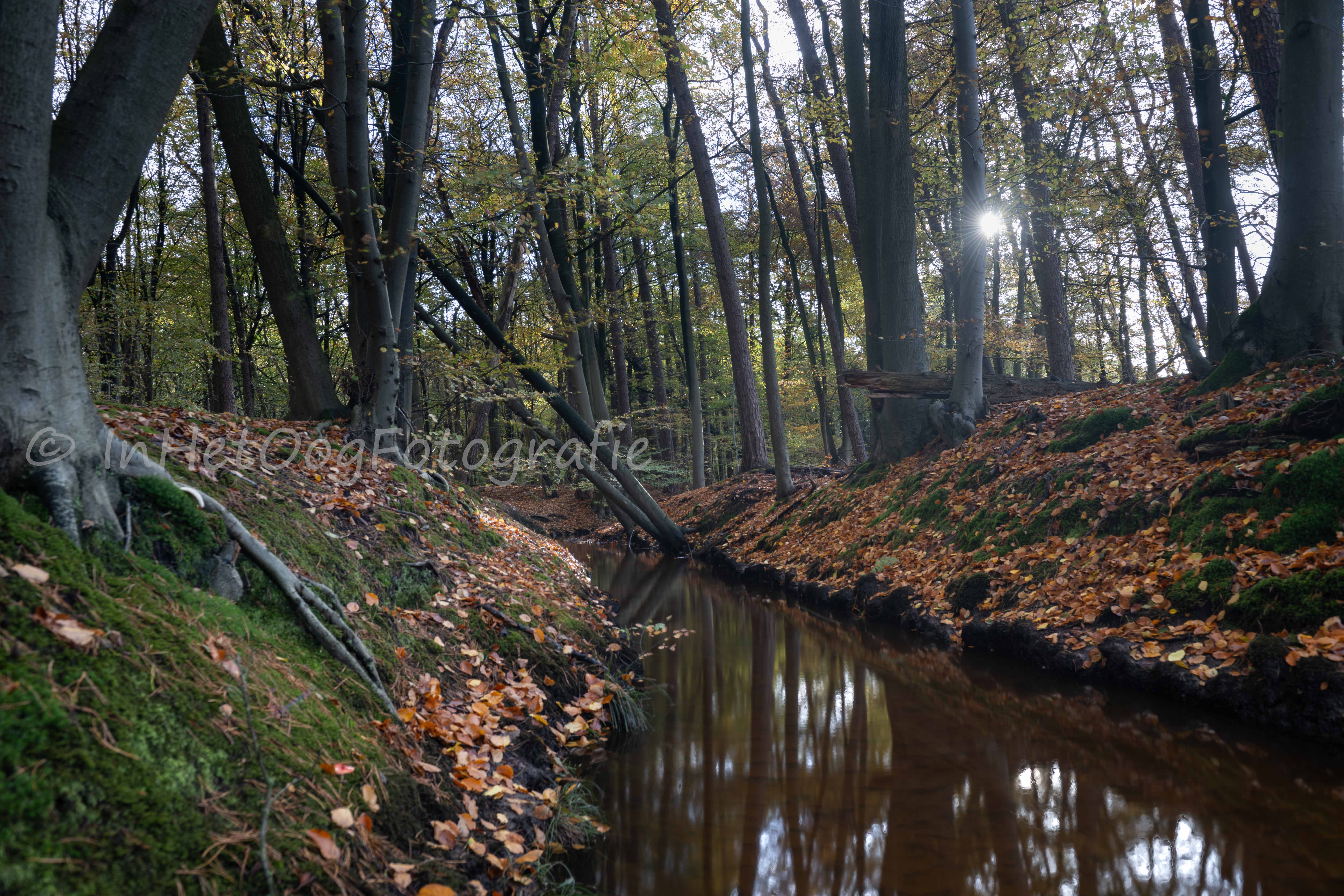 wandelen leuvenum