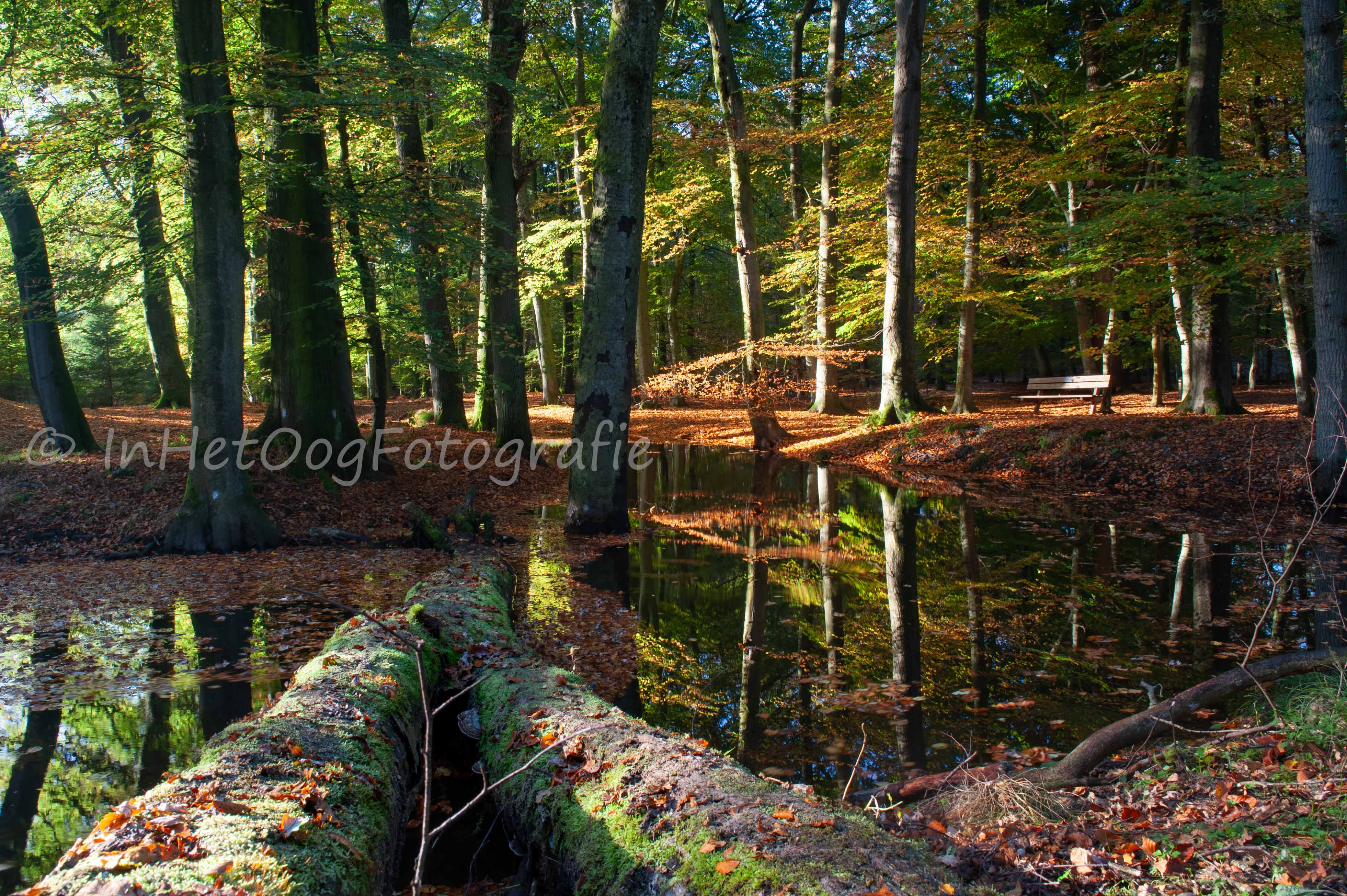 wandelen leuvenum