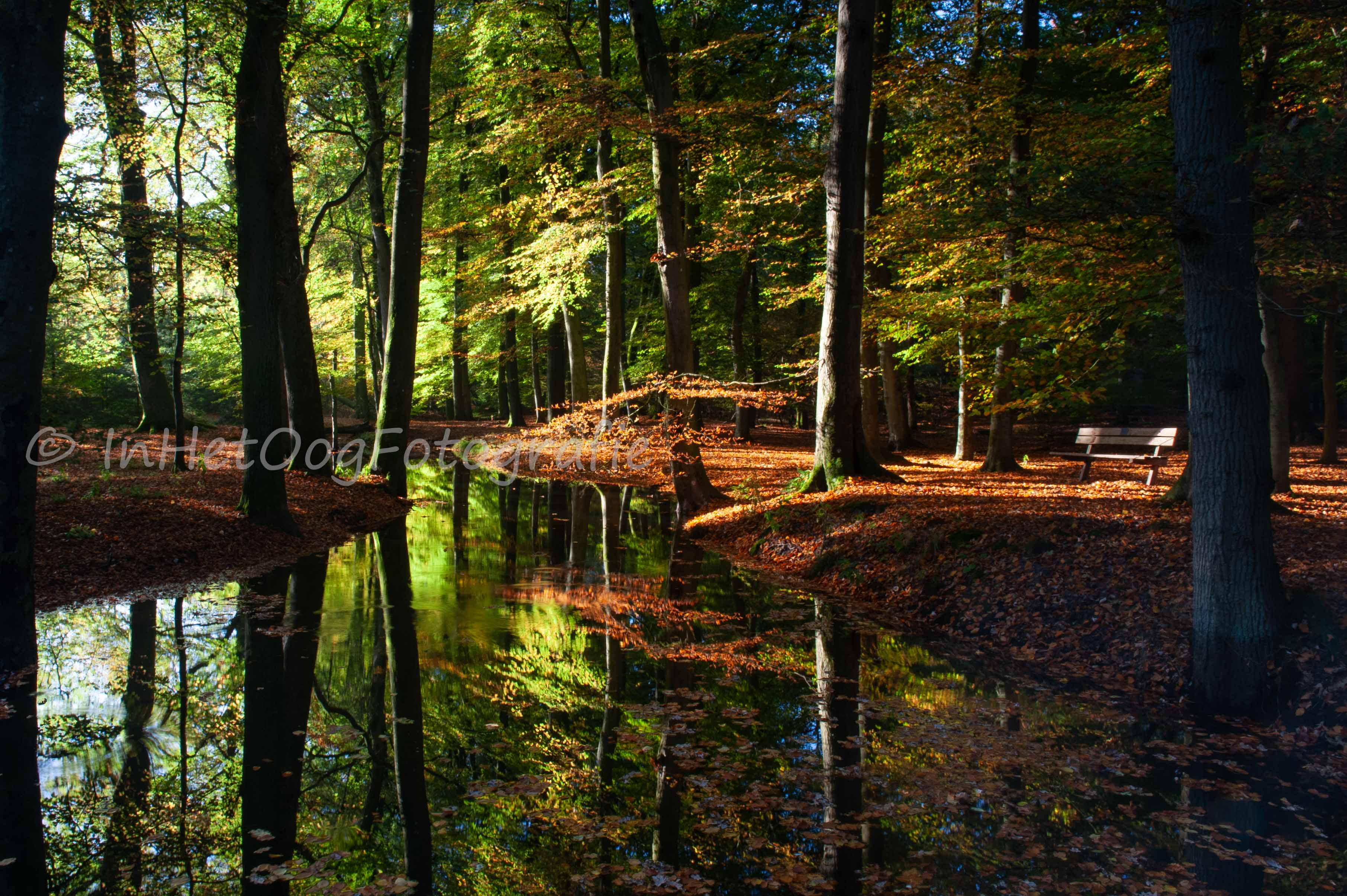 Leuvenumse Bos