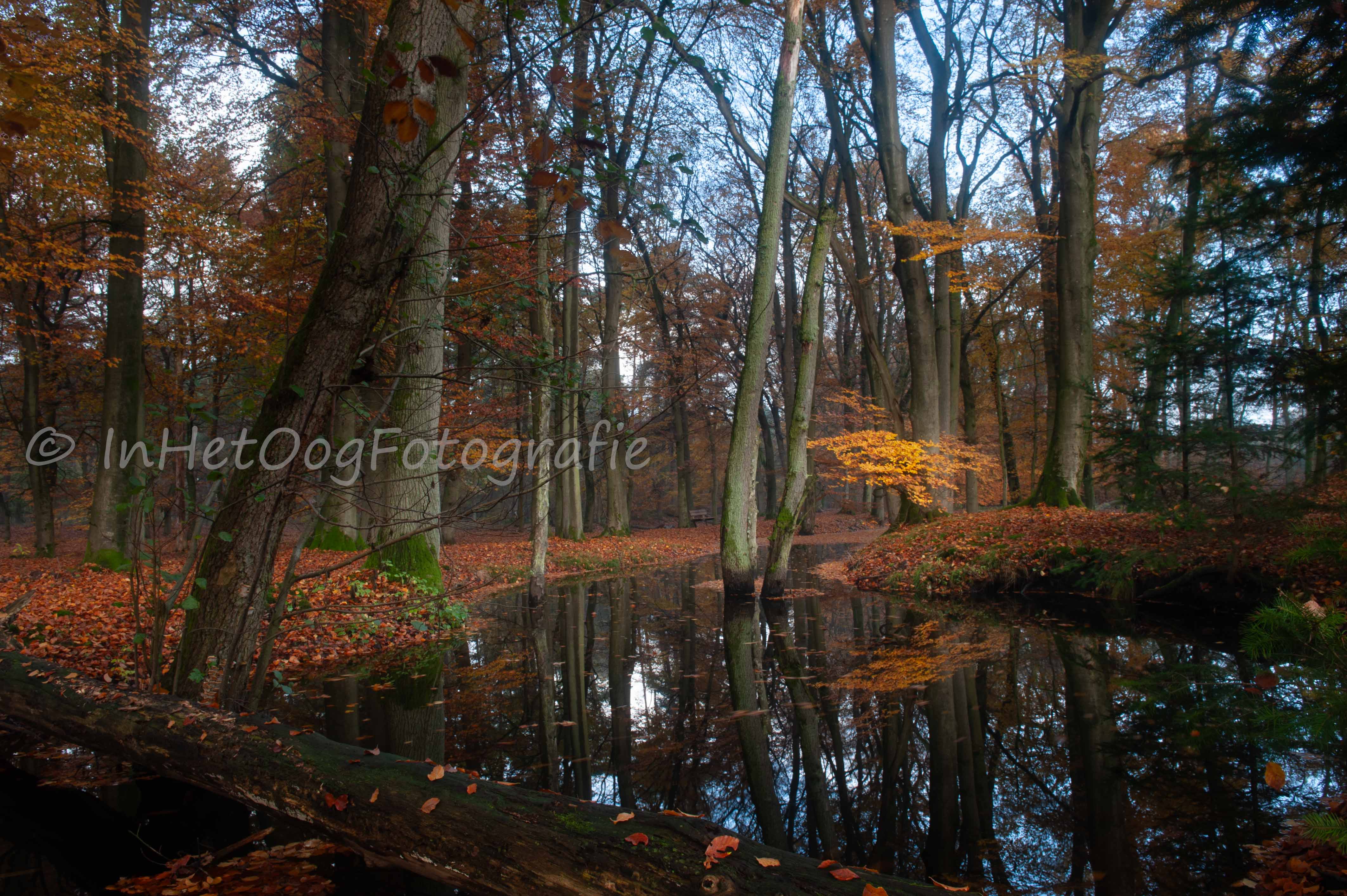 leuvenum fotografie