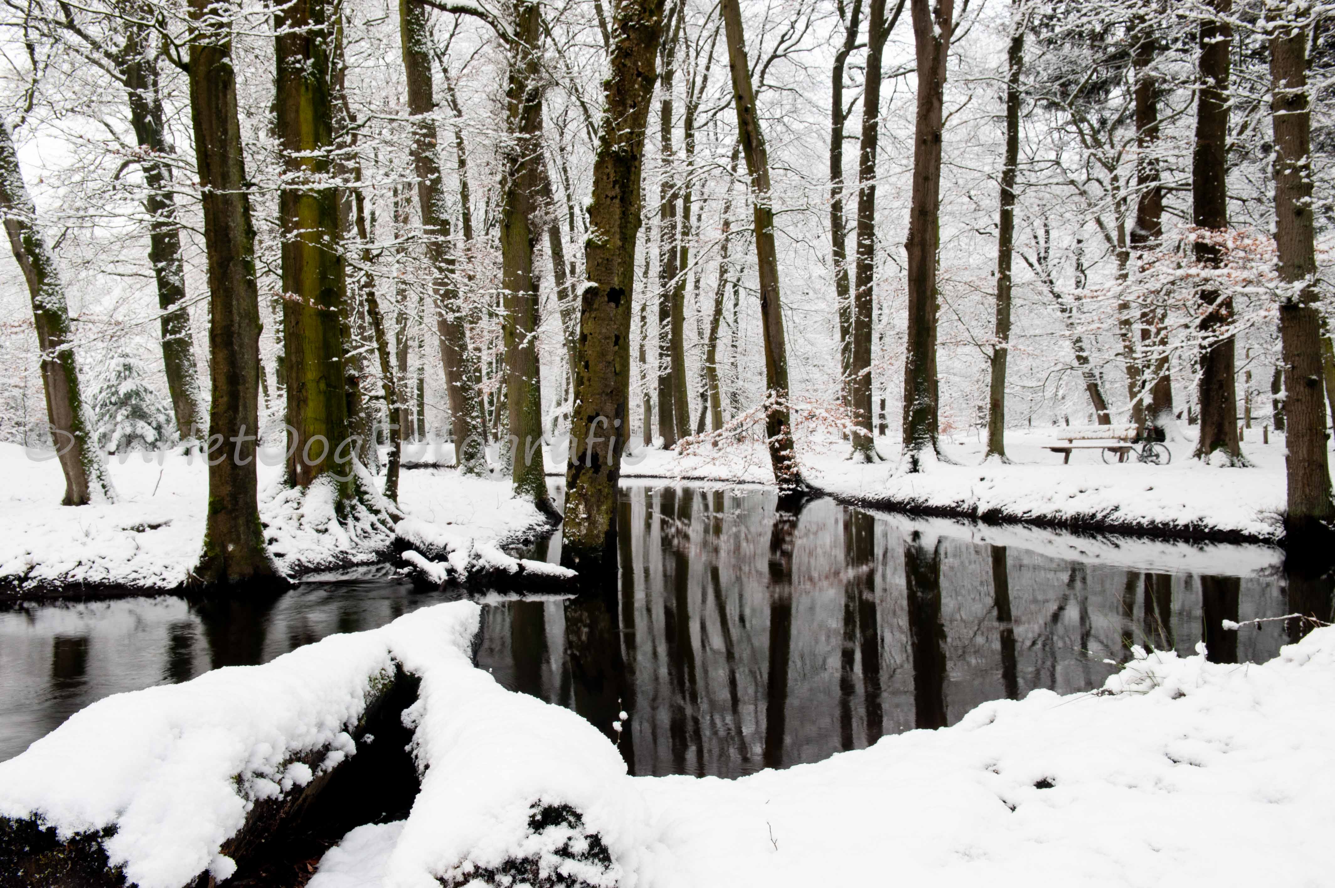 leuvenumsebos