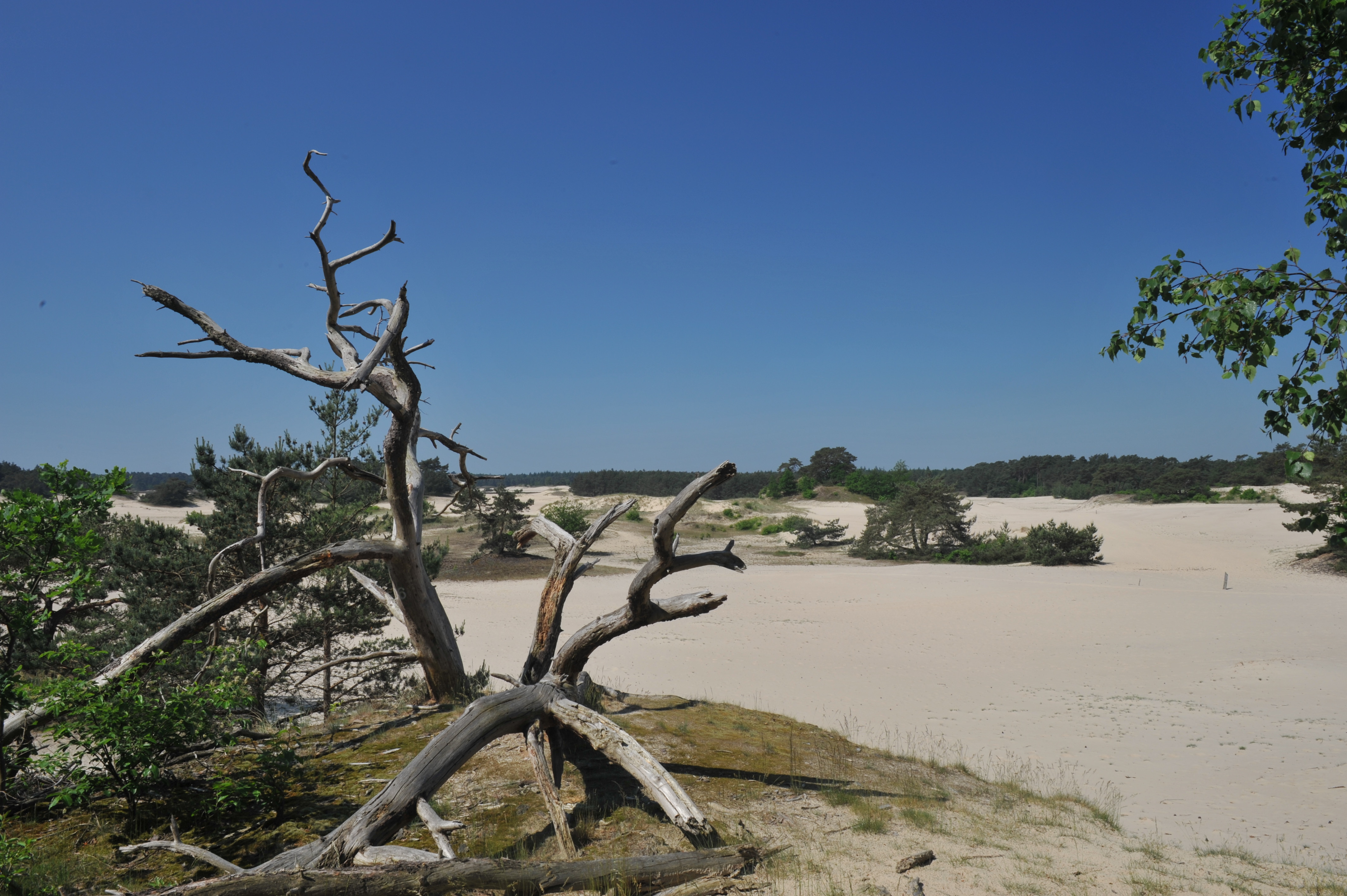 Staverdense beek