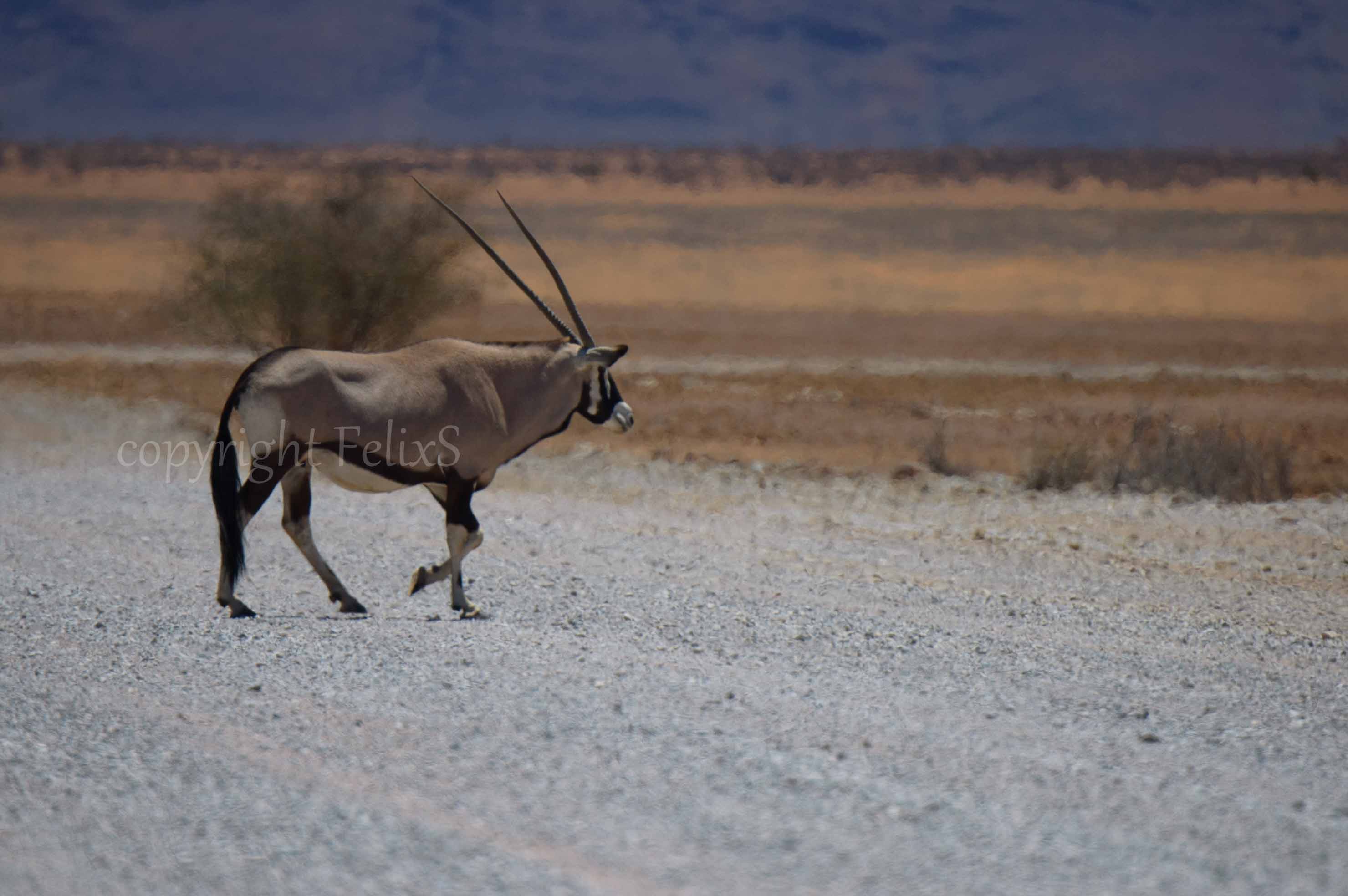 Namibia