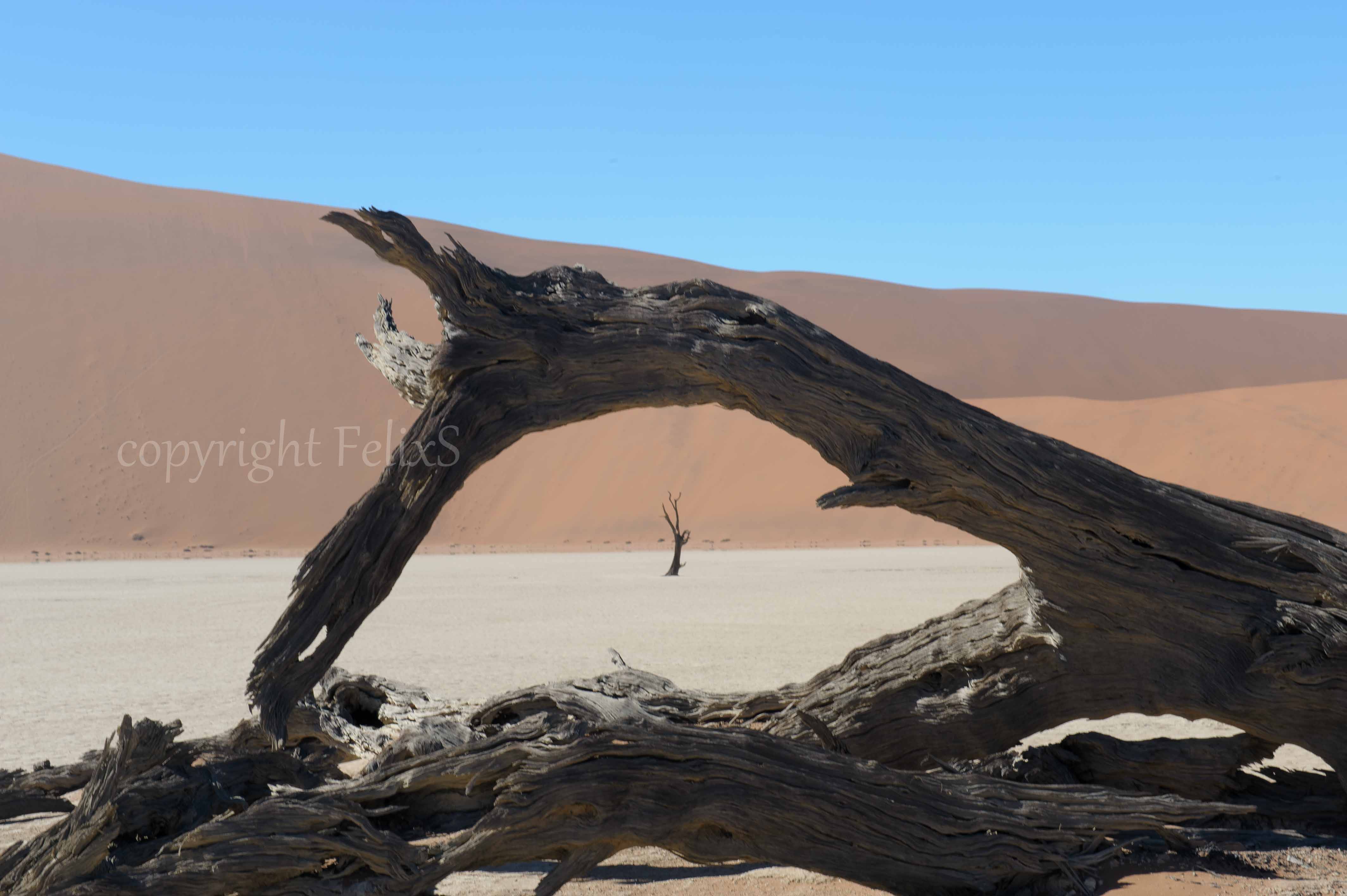 Namibie sossusvlei