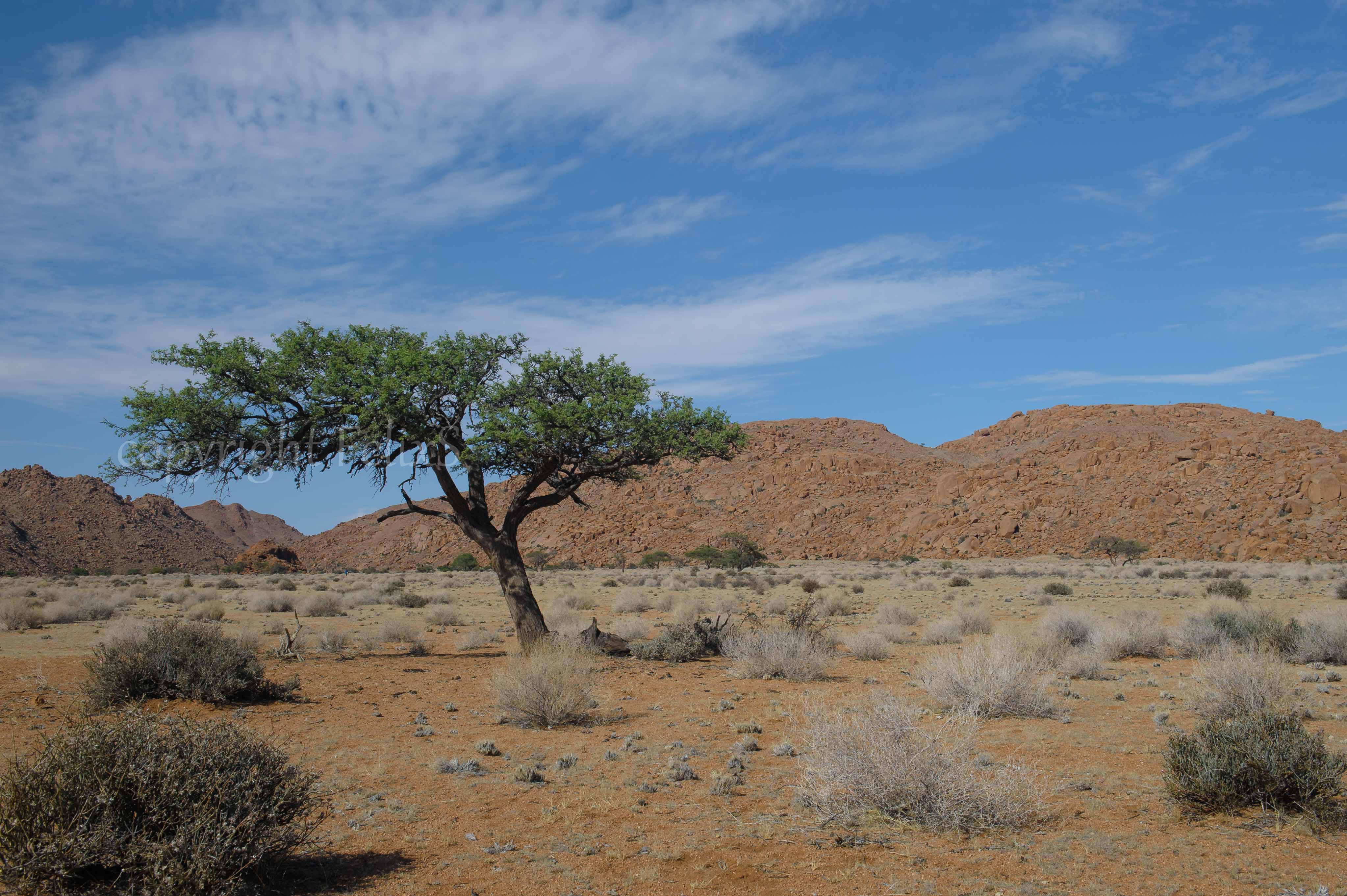 Namibie kalahari