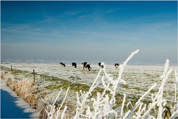 Landschap