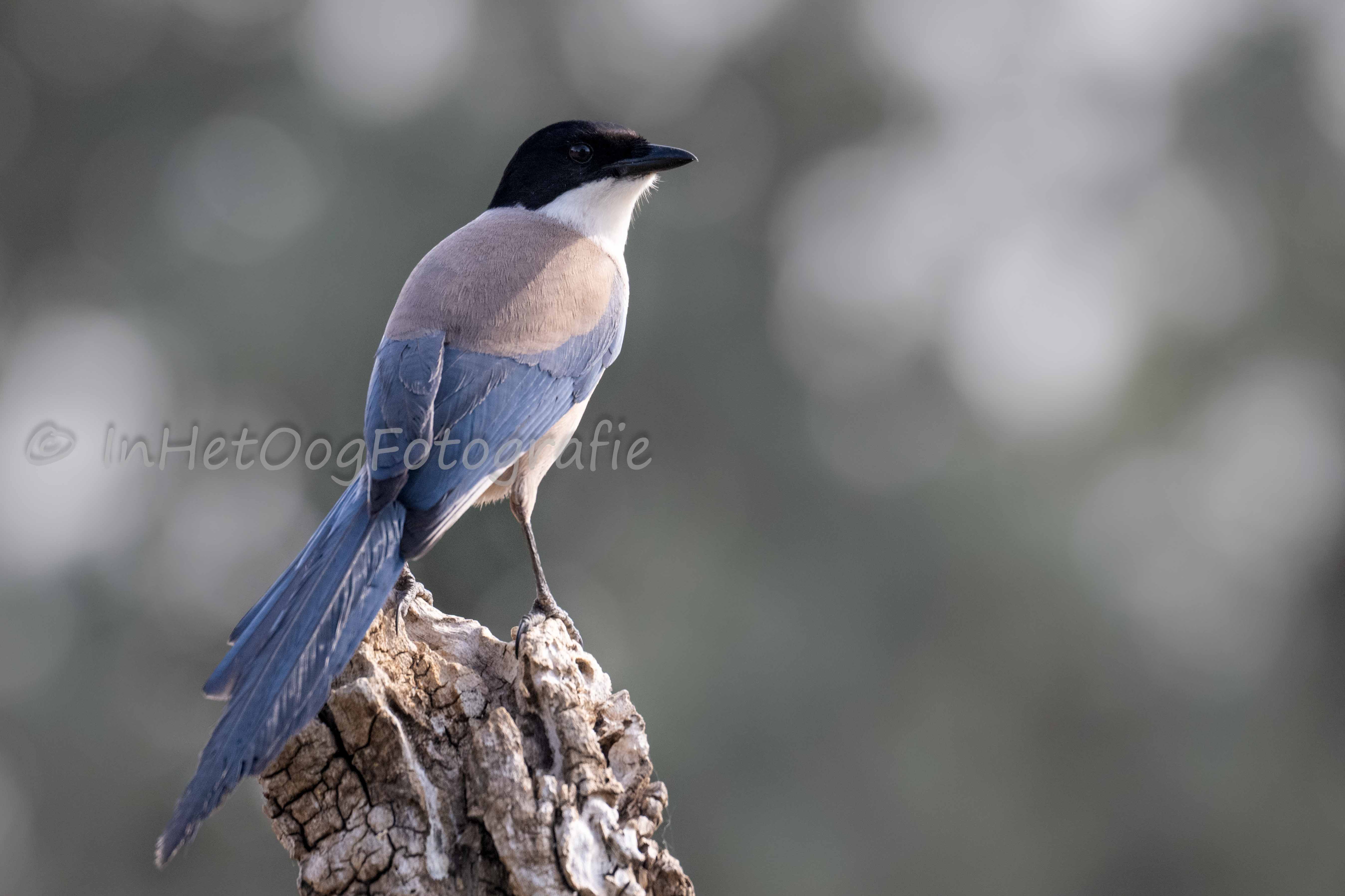 extremadura Photography