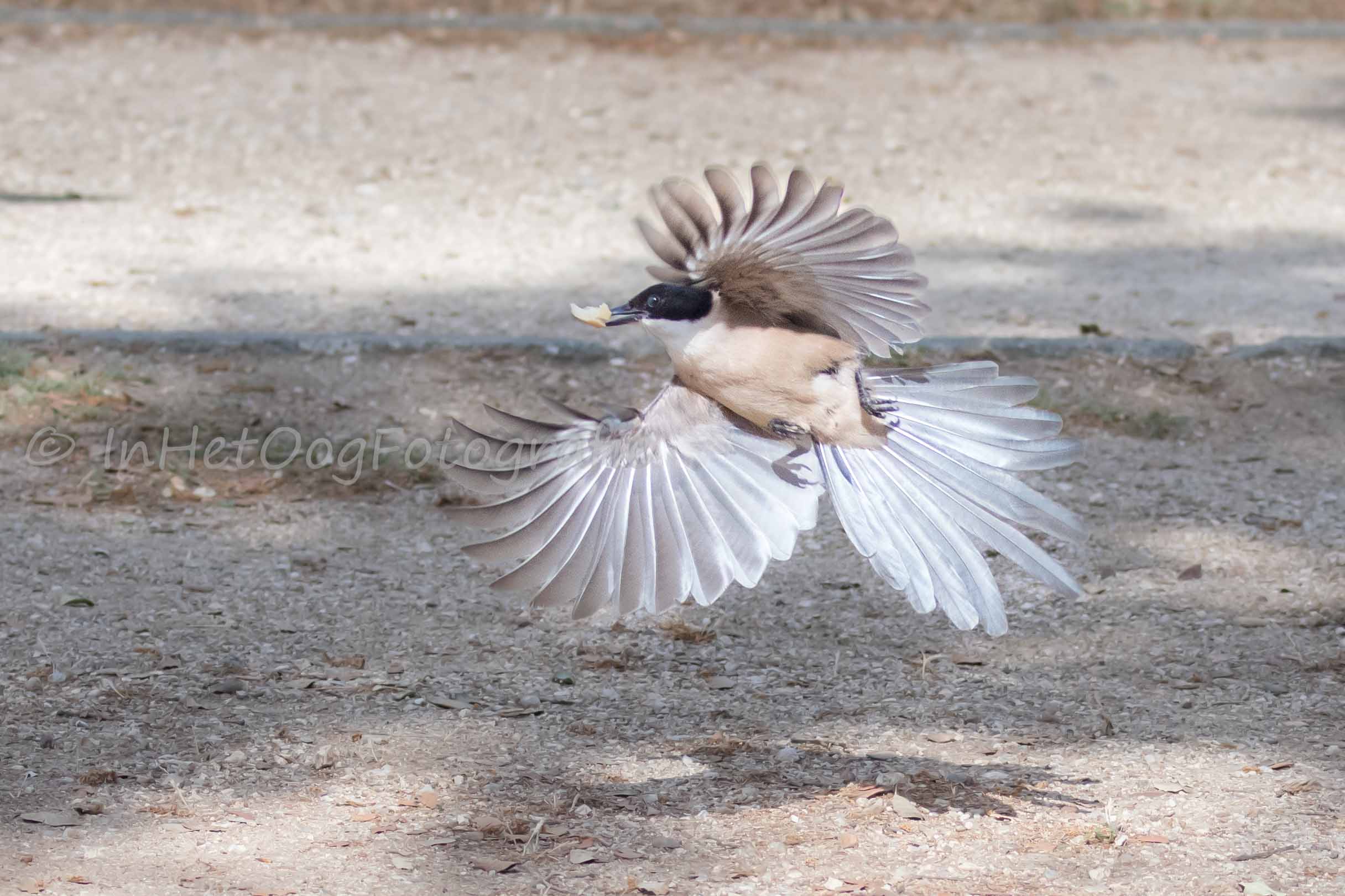  extremadura photography