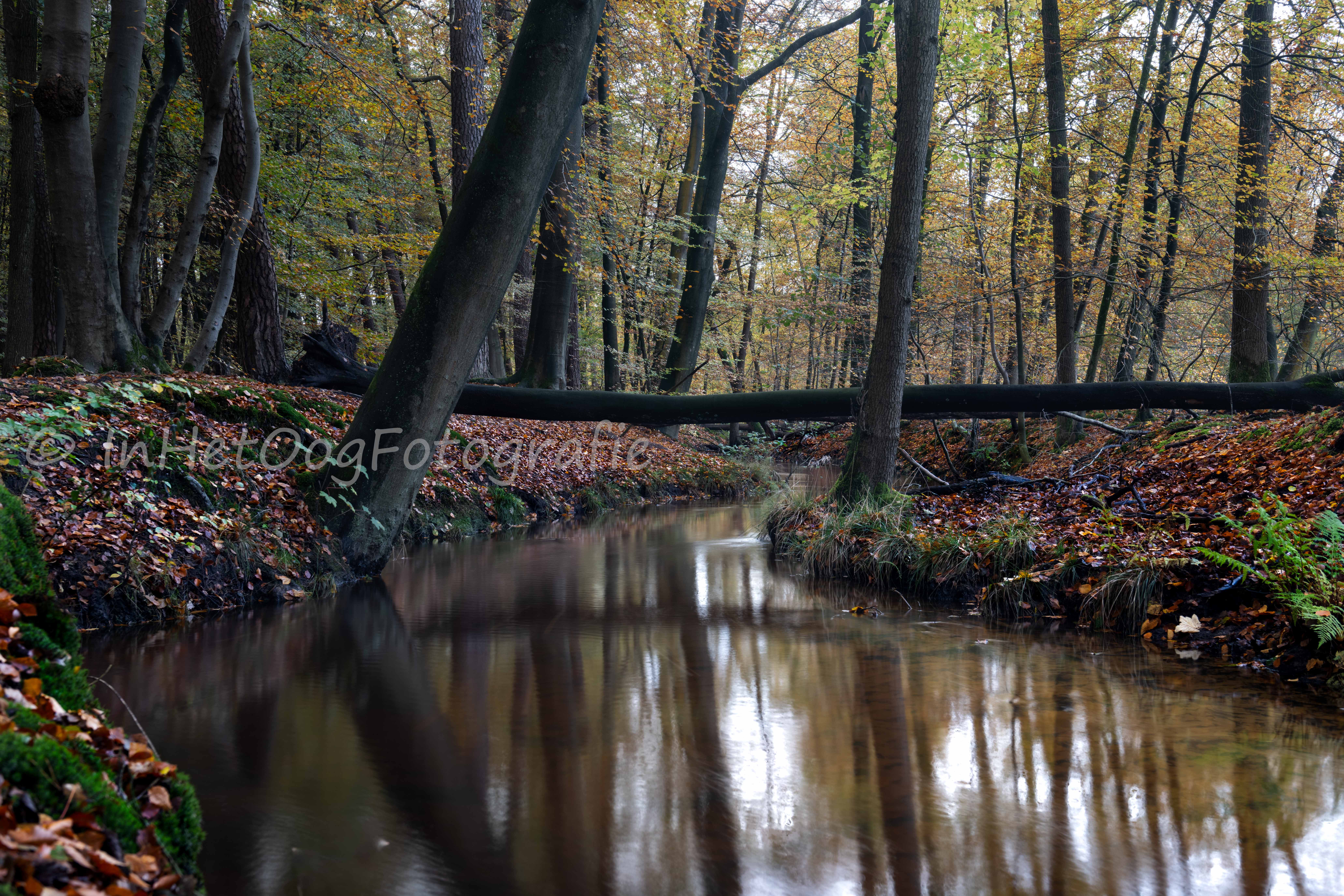 Leuvenumse beek