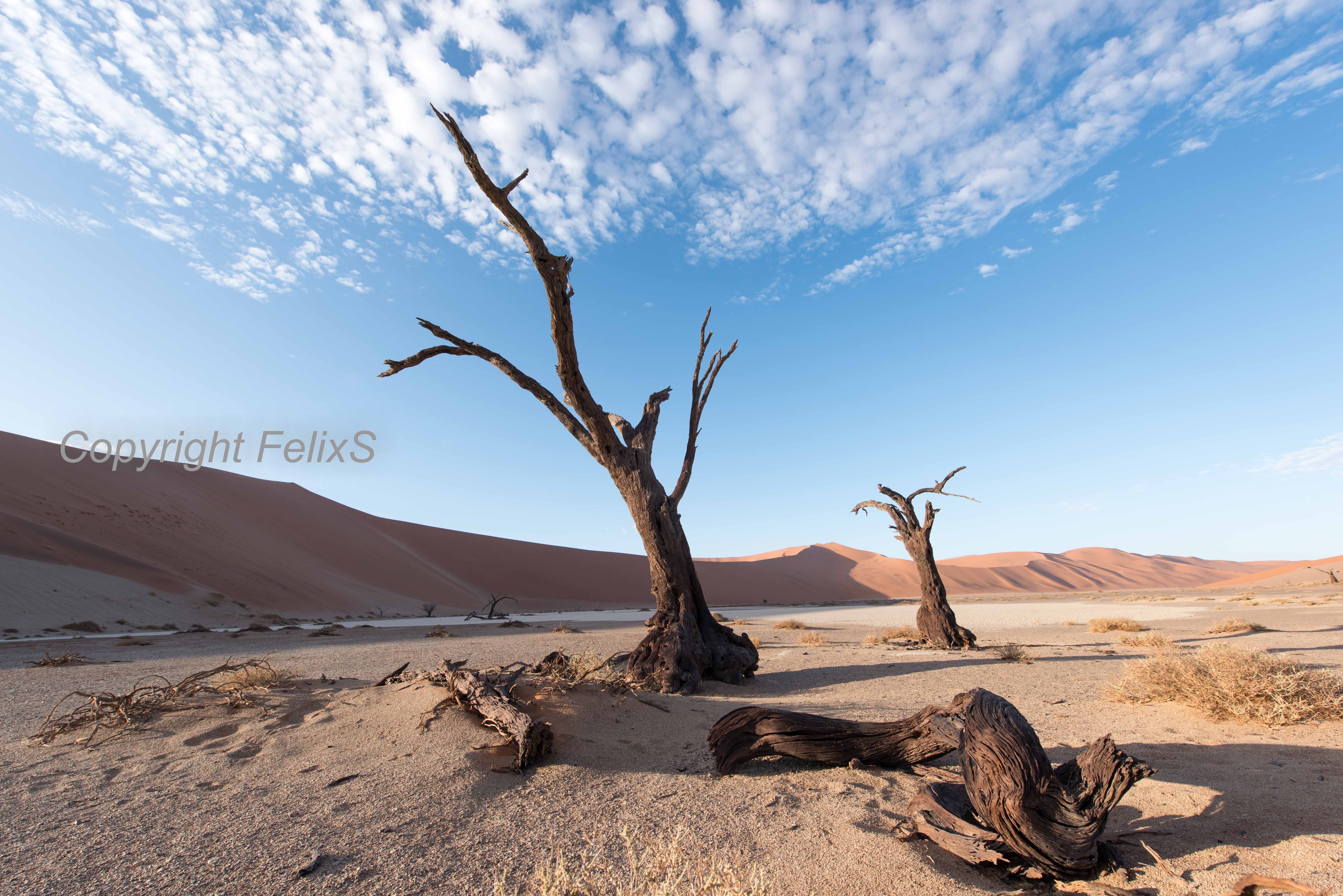 sossus vlei