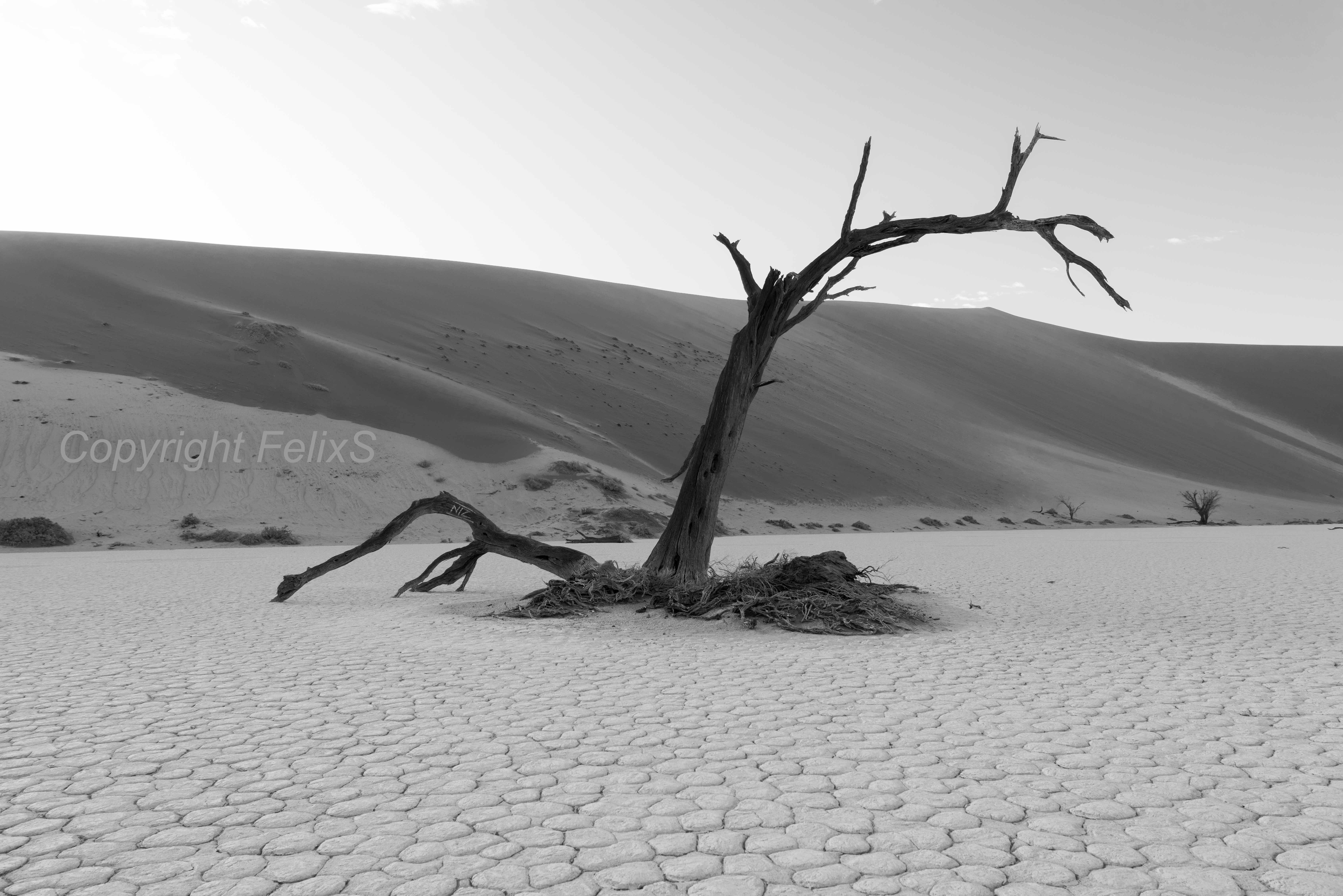 hidden vlei