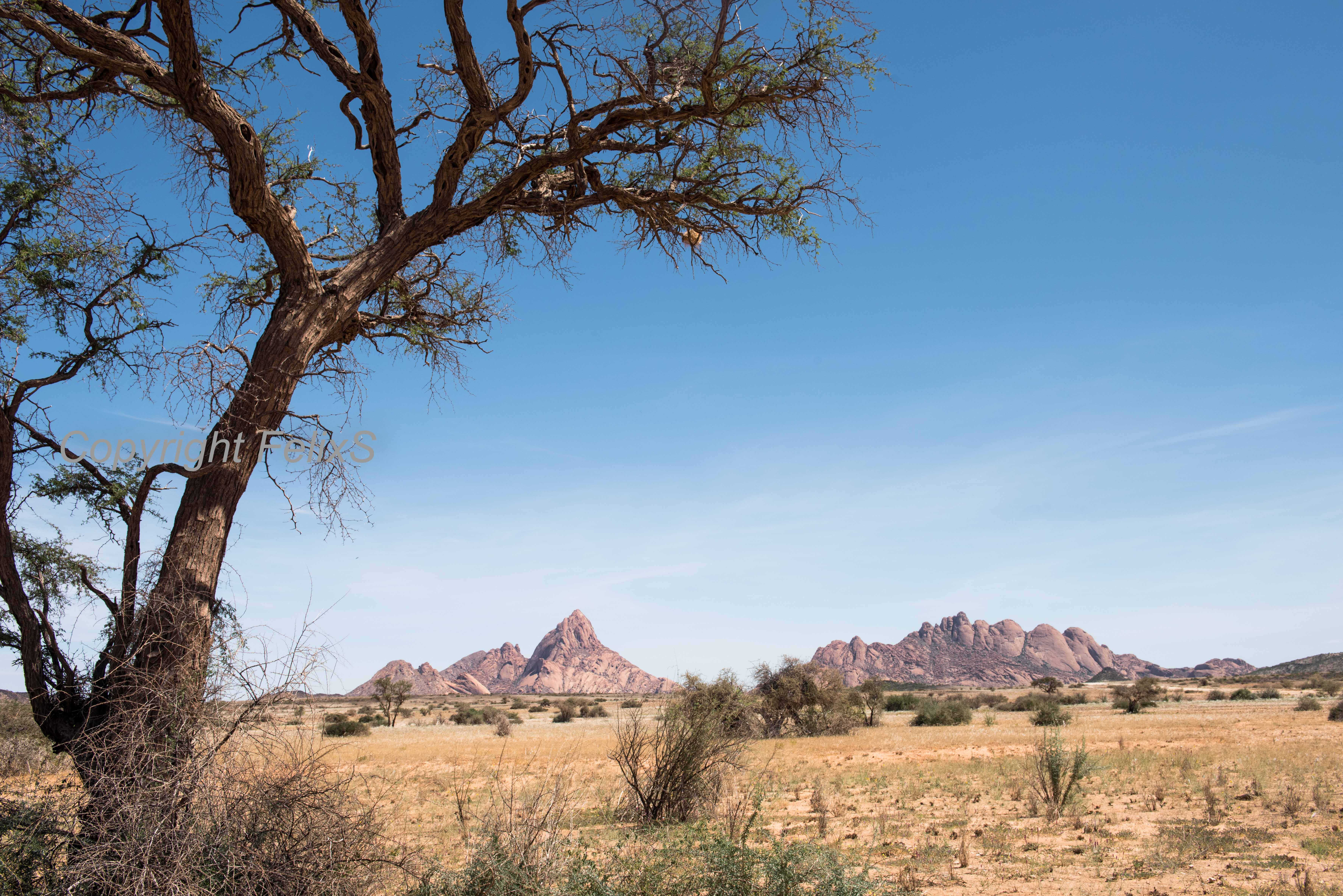 Spitzkoppe