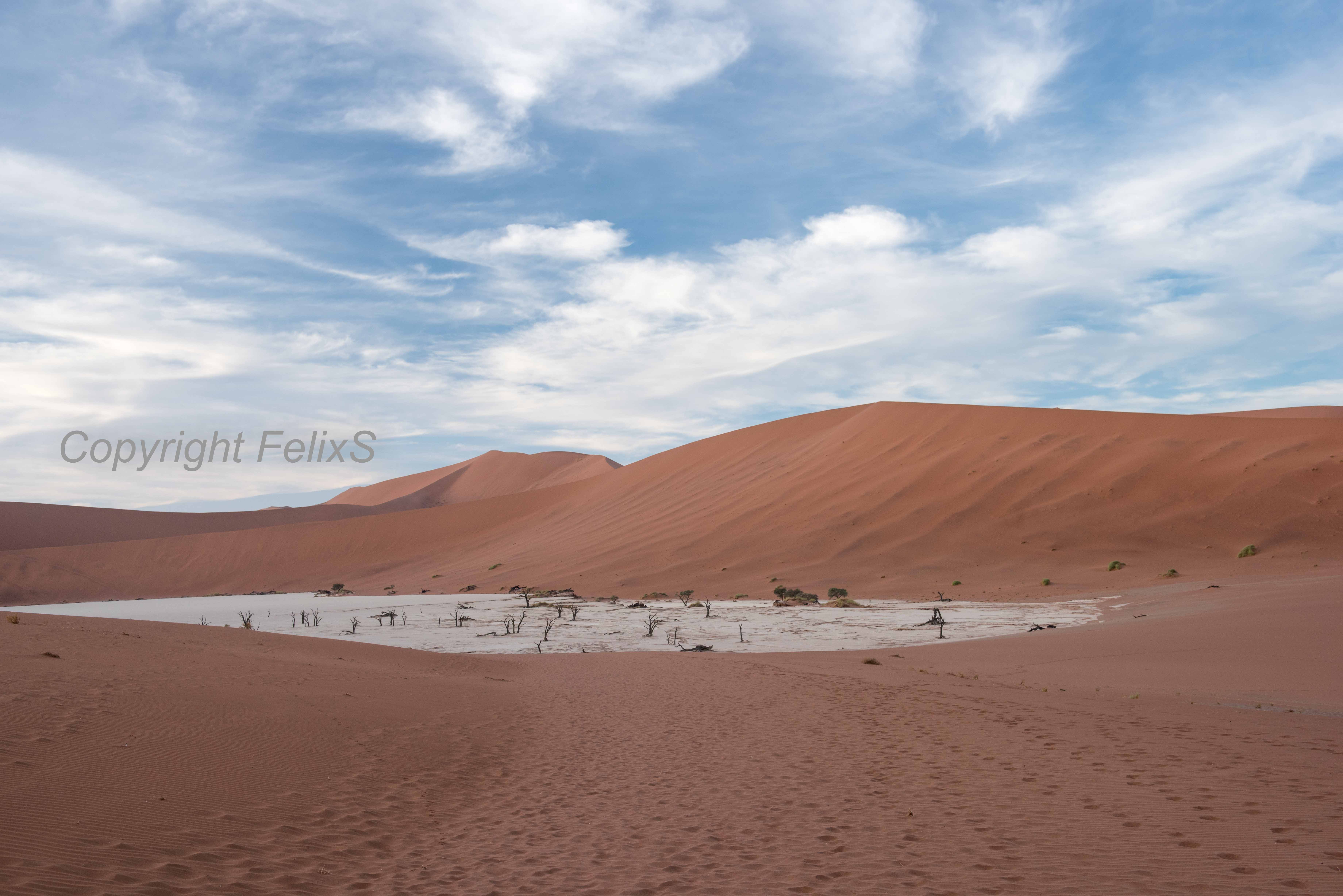 hidden vlei