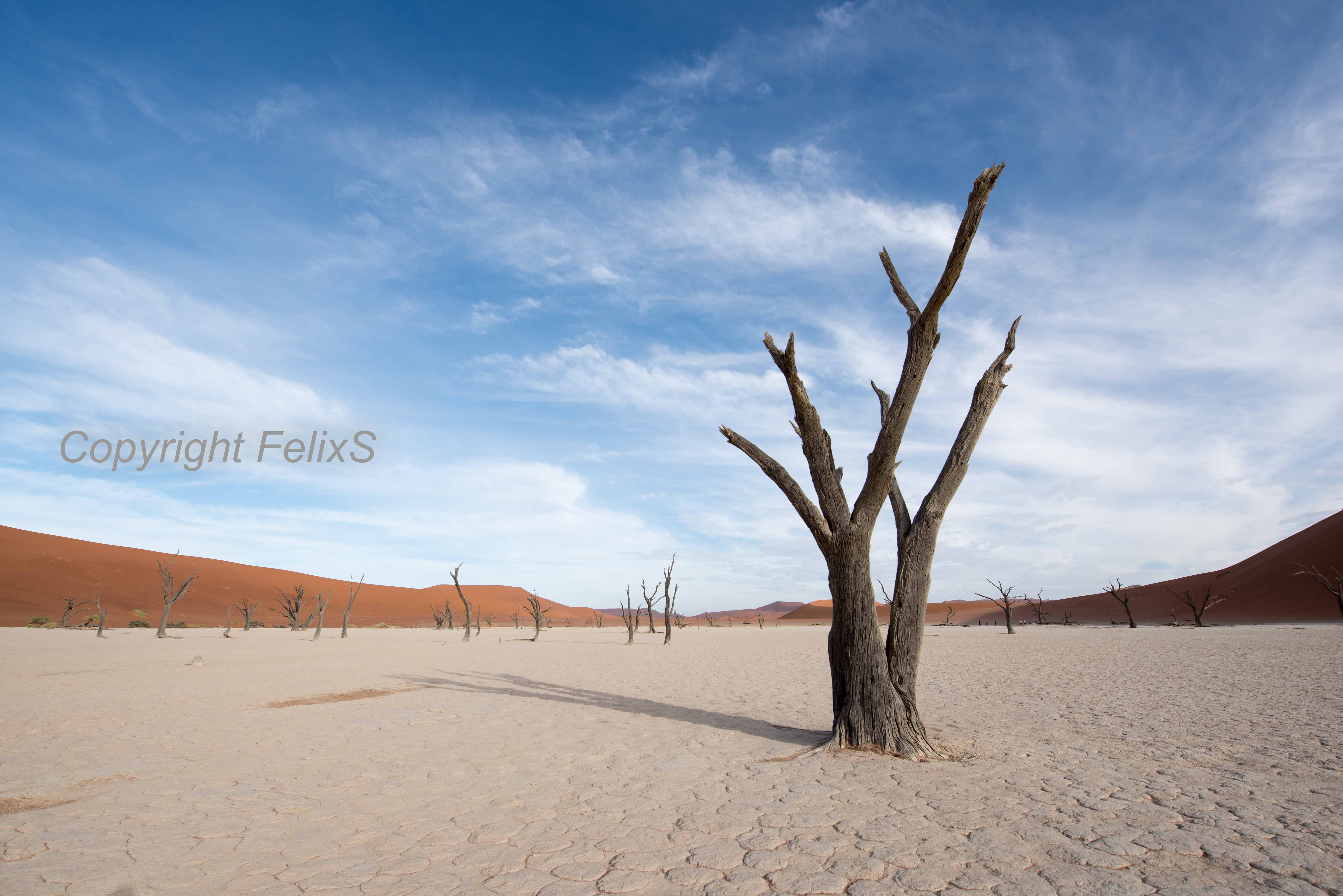 dead vlei