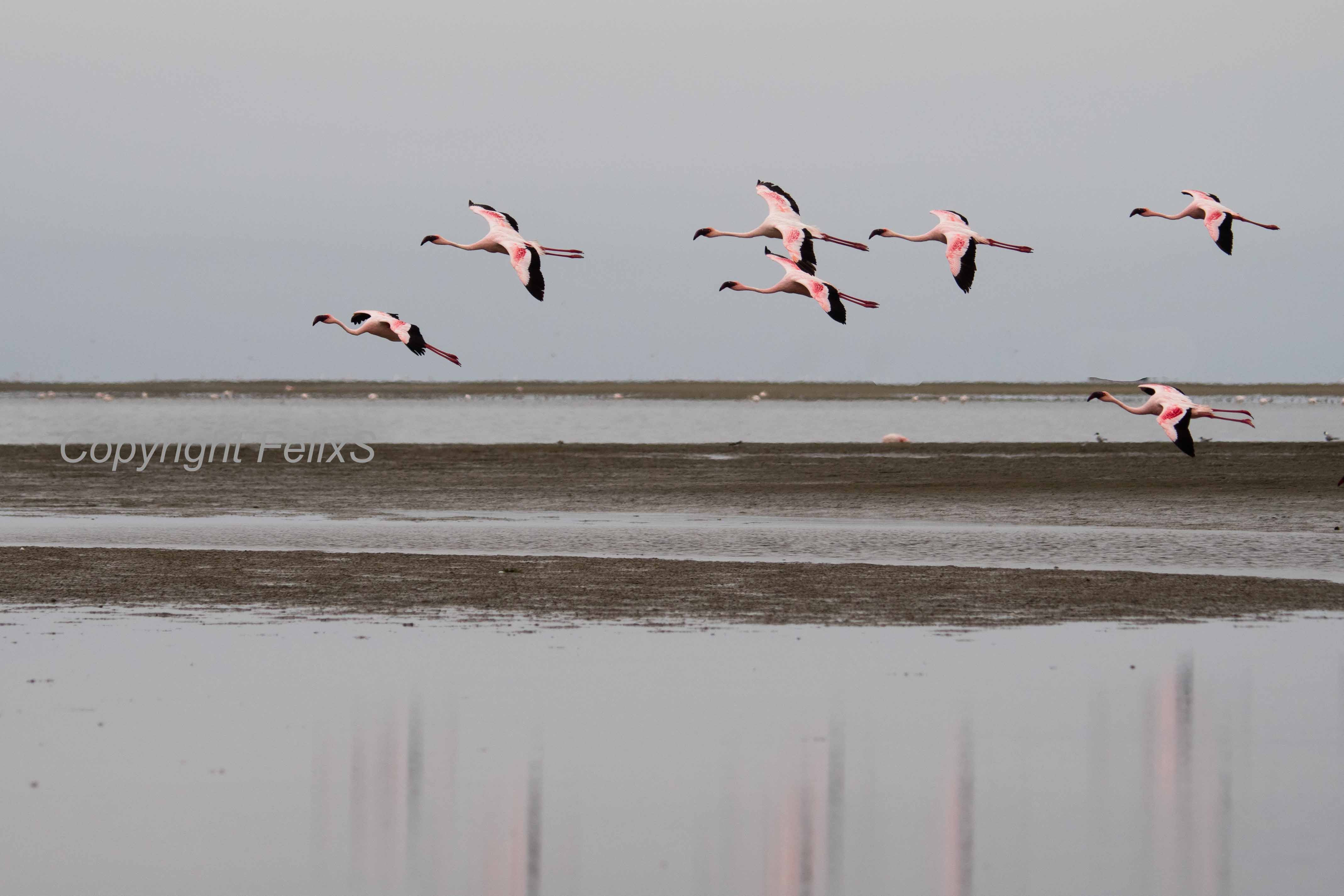 Swakopmund