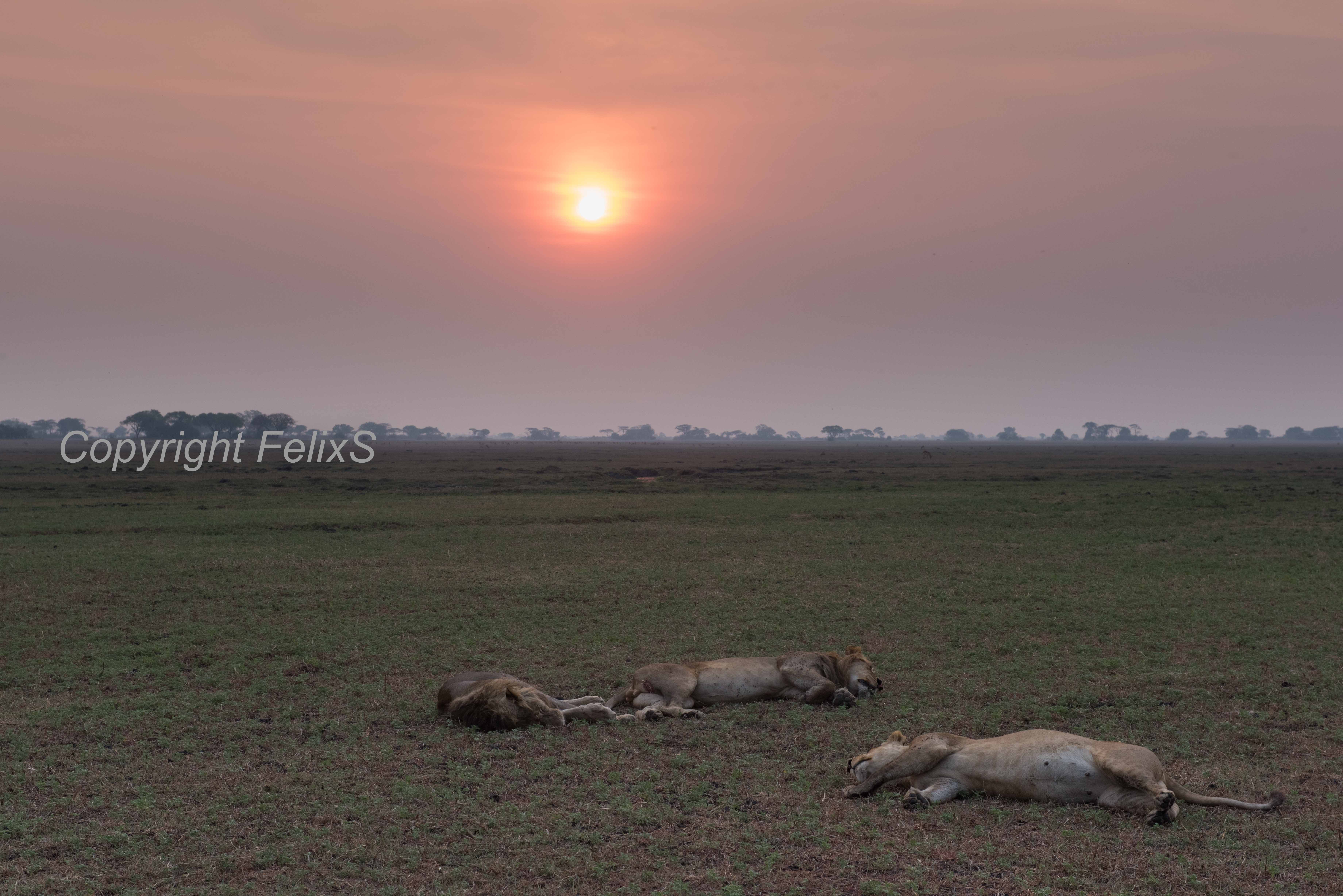 Busanga Plains