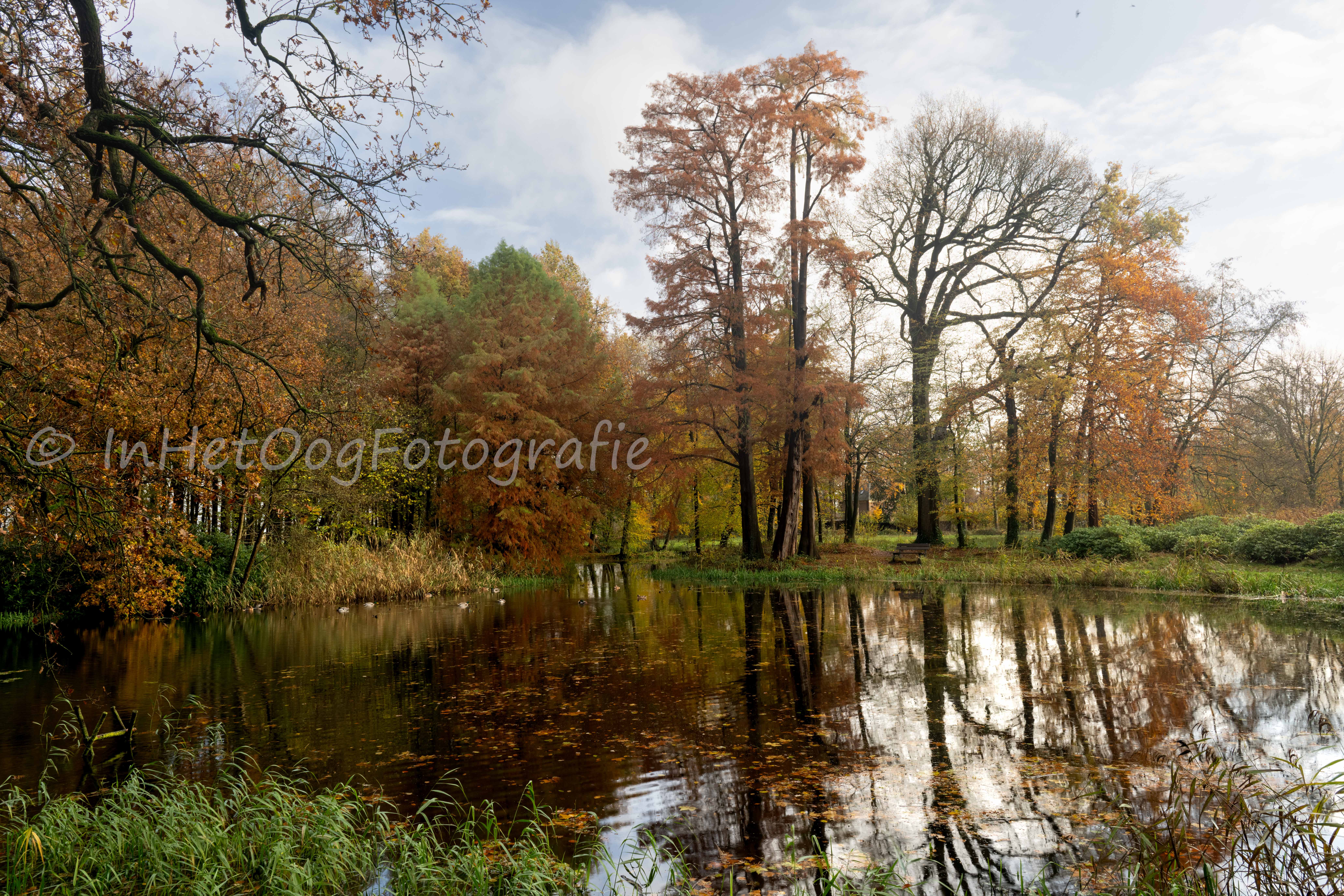  Oldenaller nijkerk