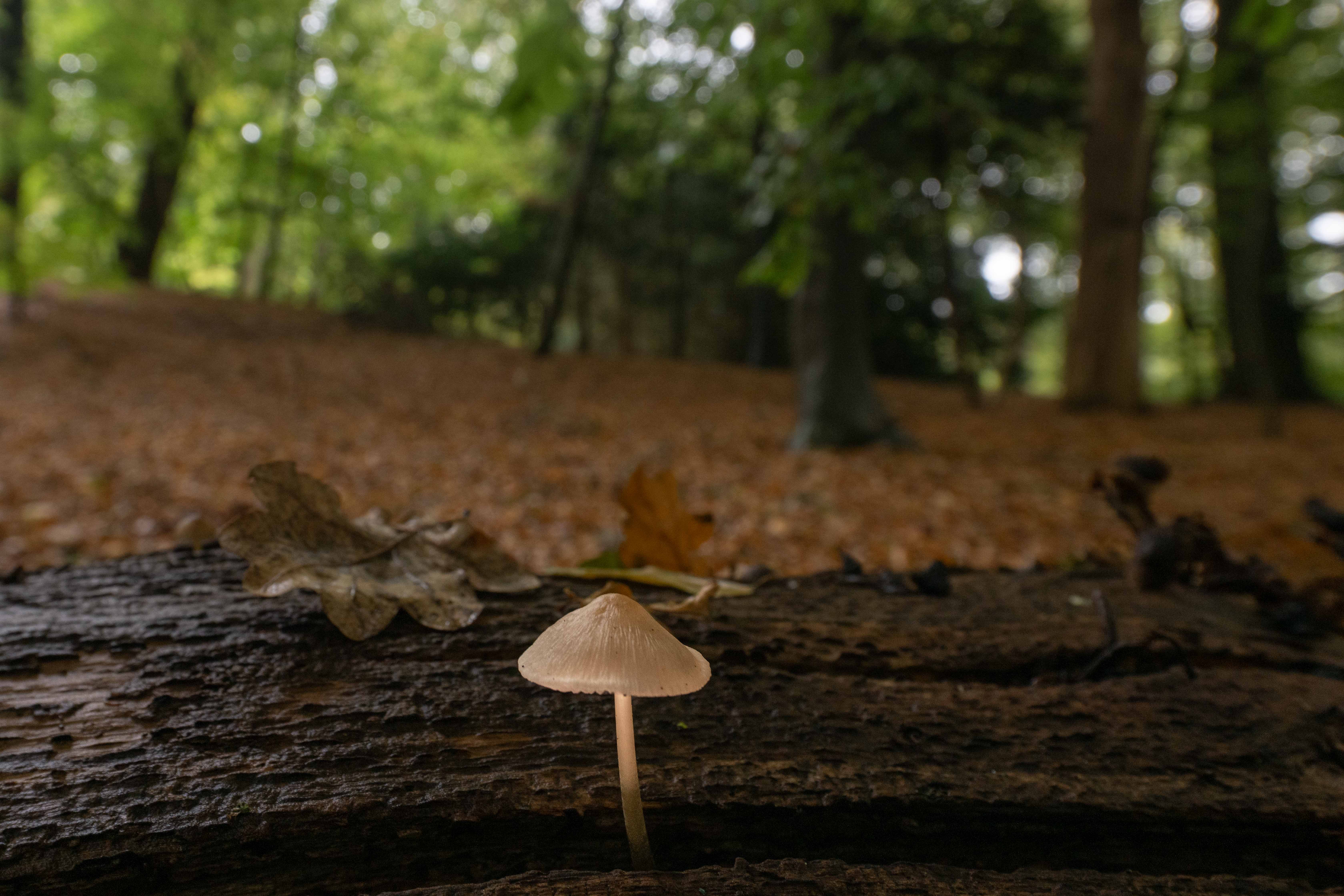 Hoeve Klein Oldenaller