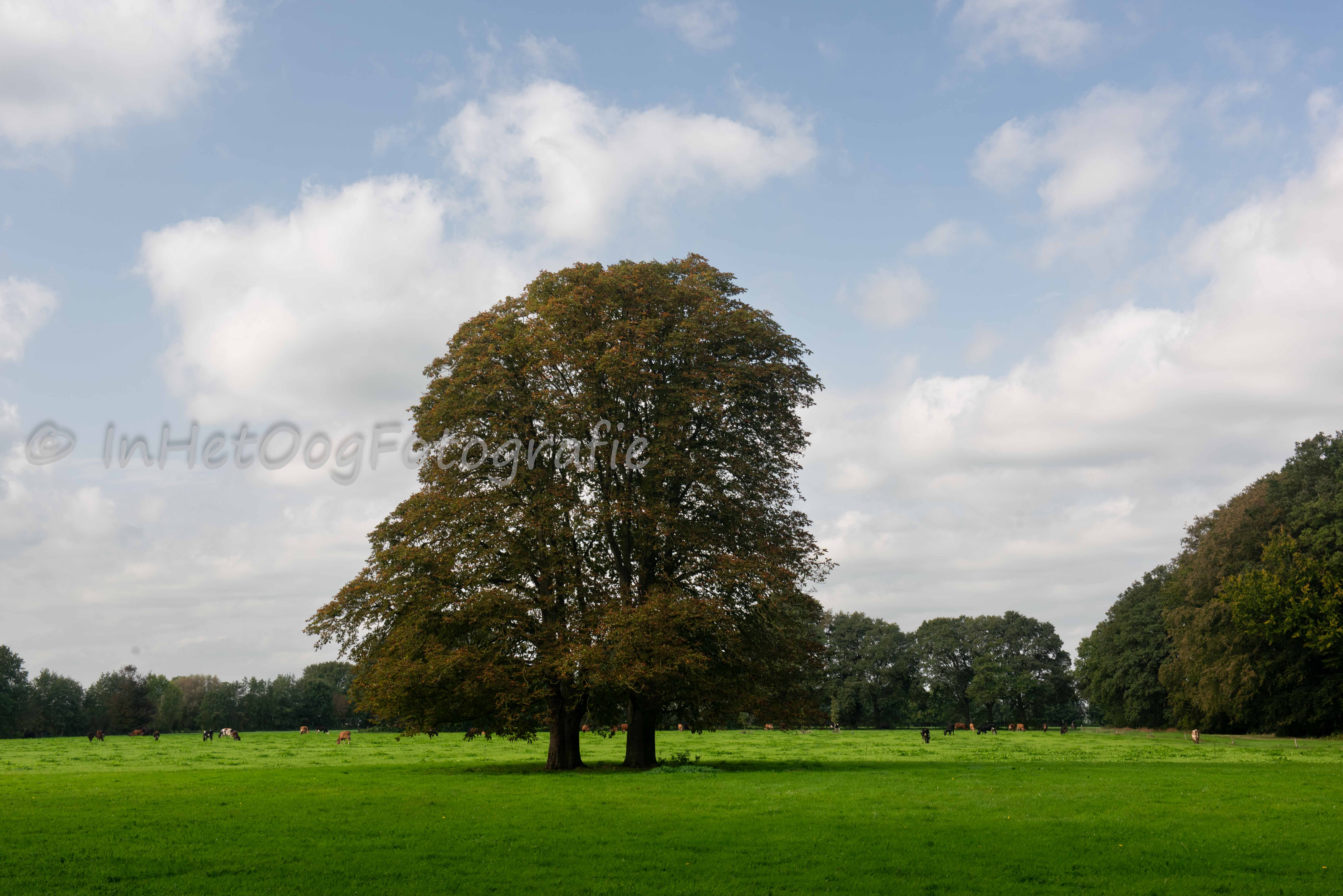 Landgoed Oldenaller