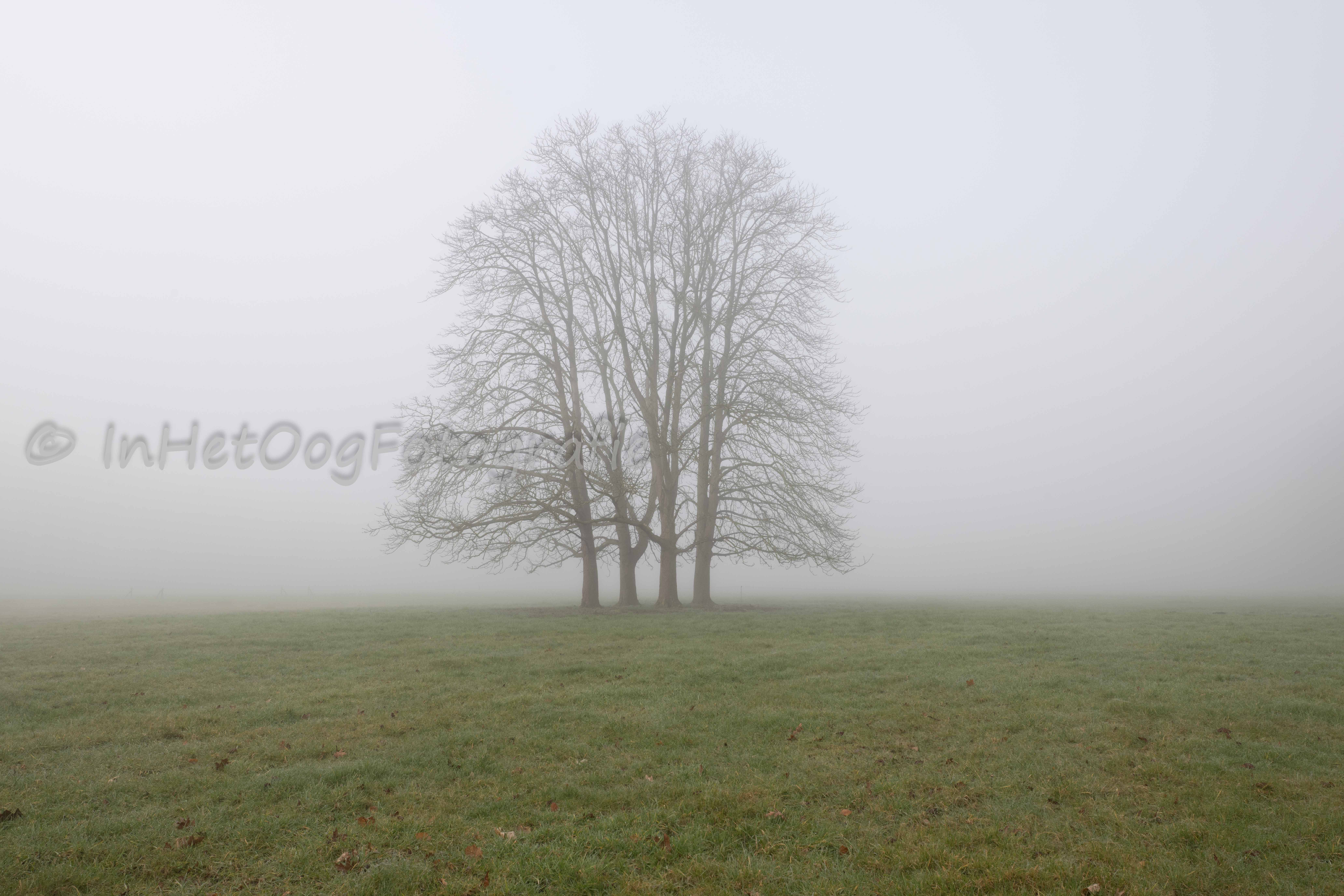 biologische boerderij