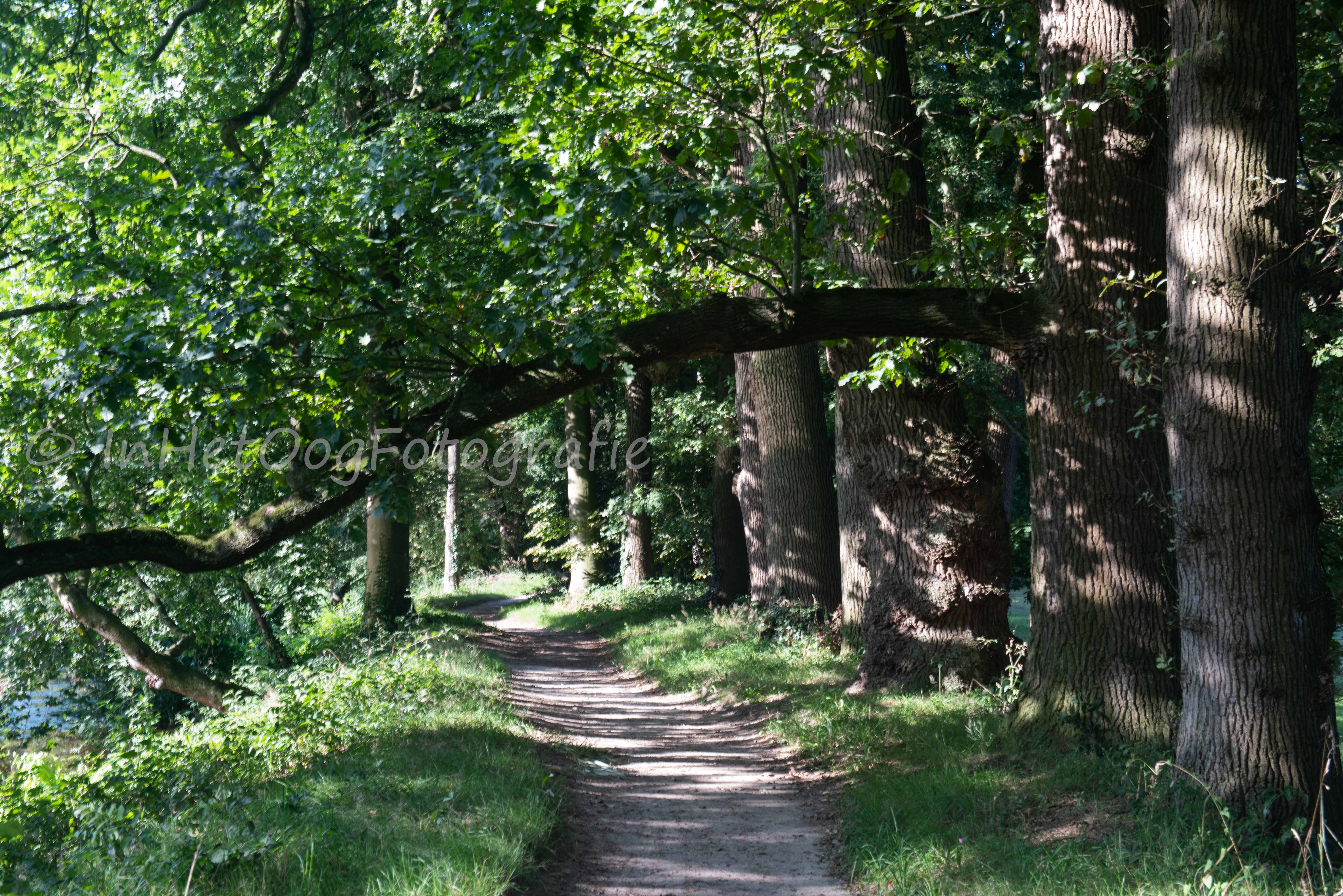 landgoed Oldenaller