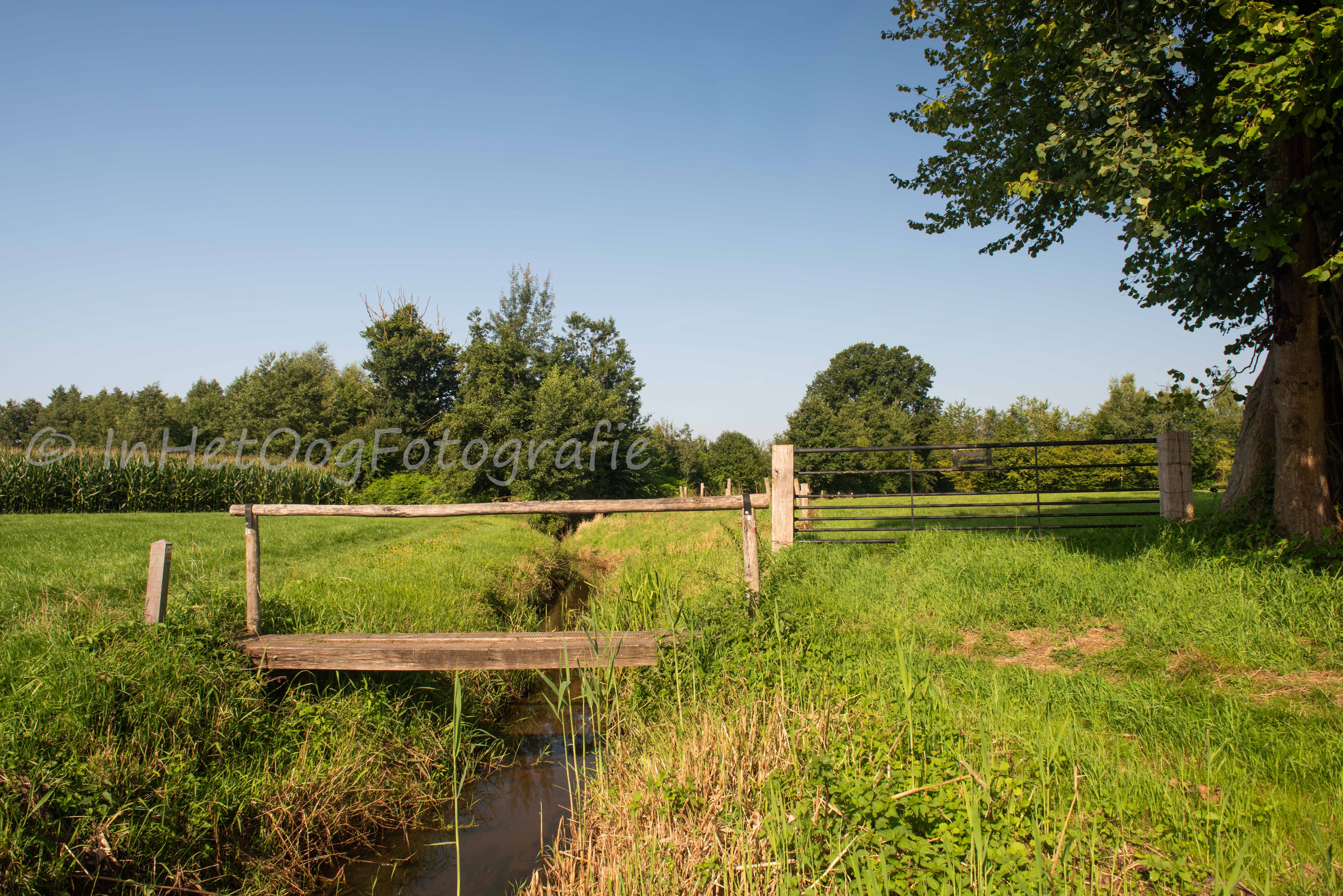 Oldenaller Veldbeek