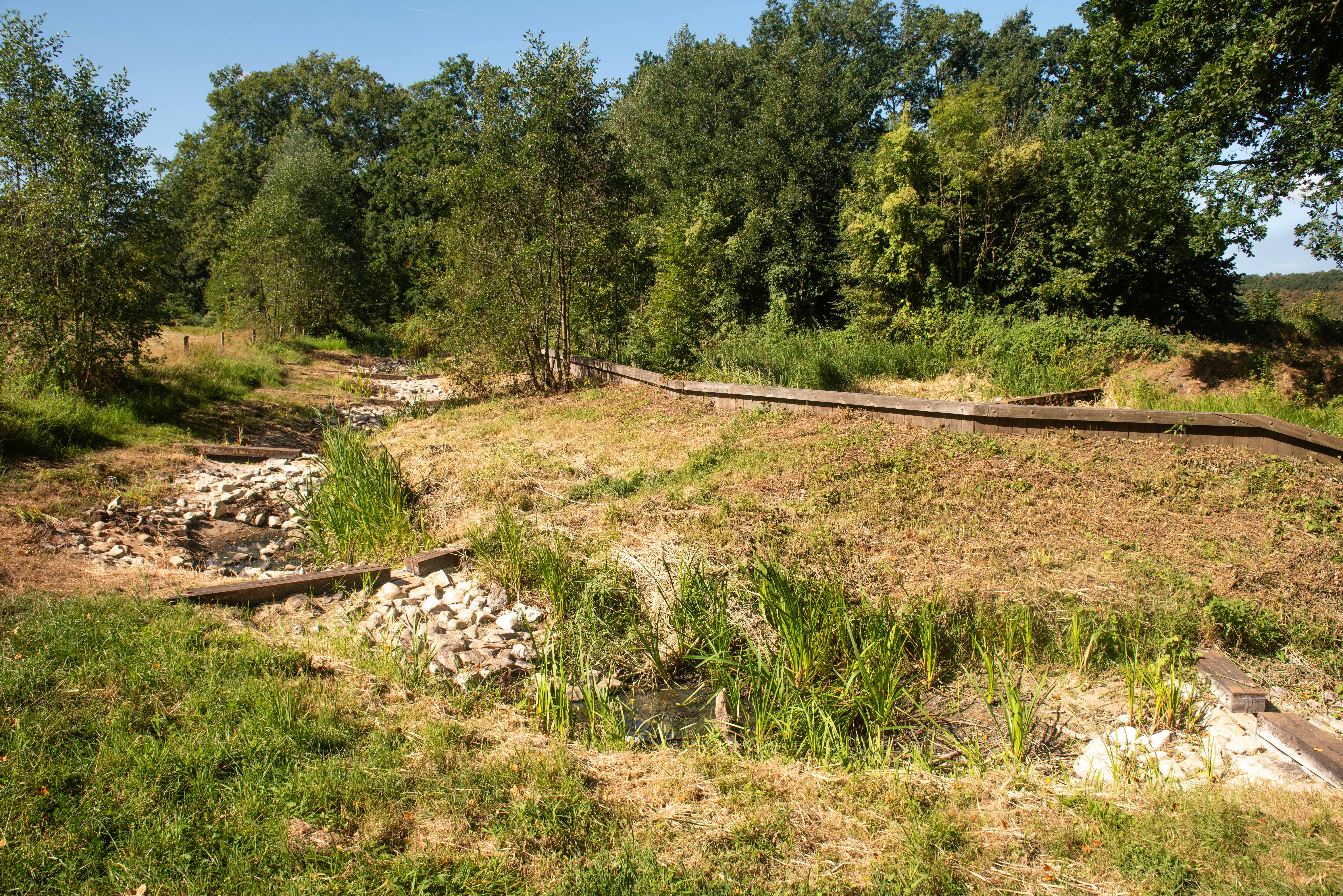 Schuitenbeek