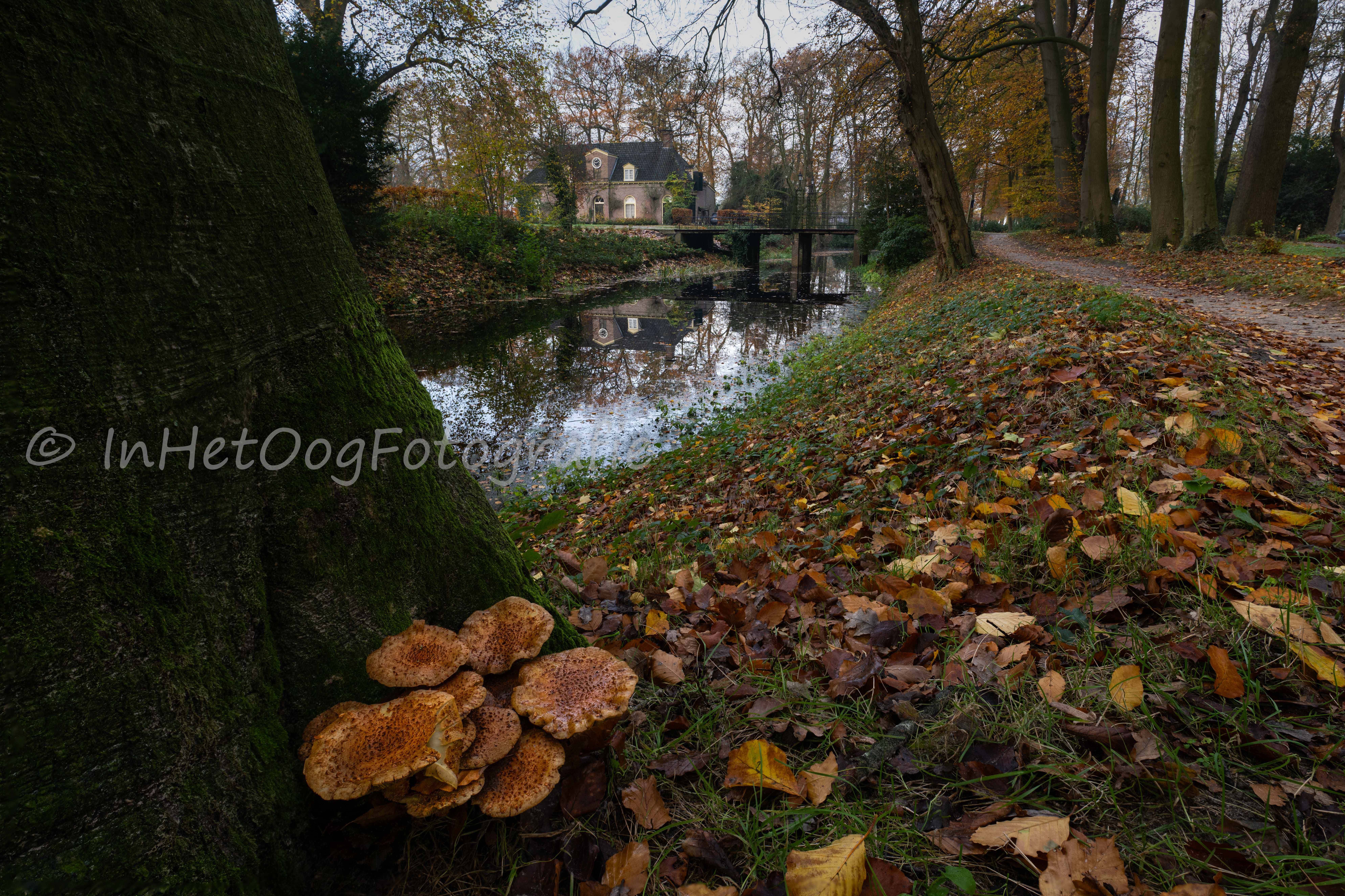 Landgoed Oldenaller 