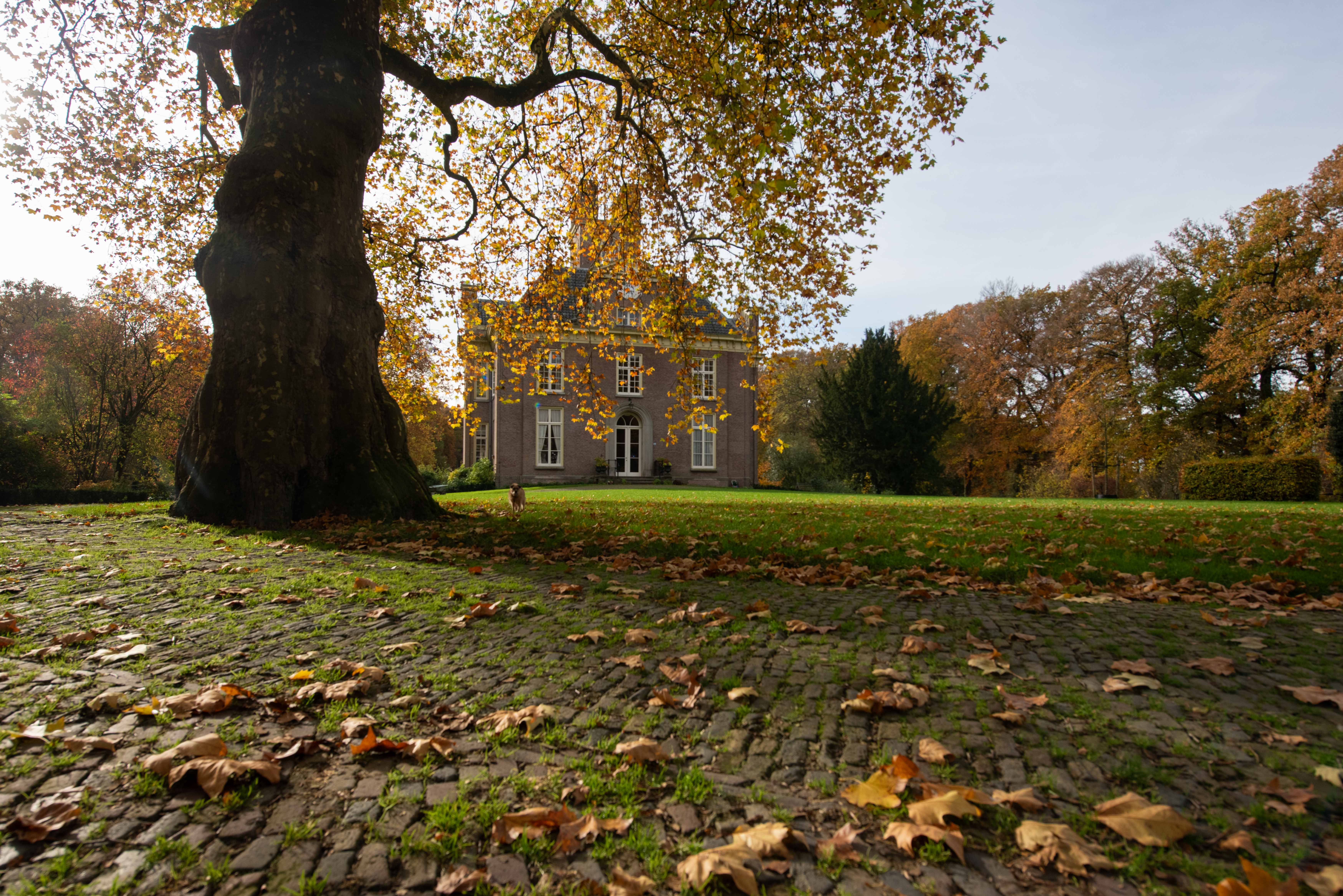Oranjerie Oldenaller