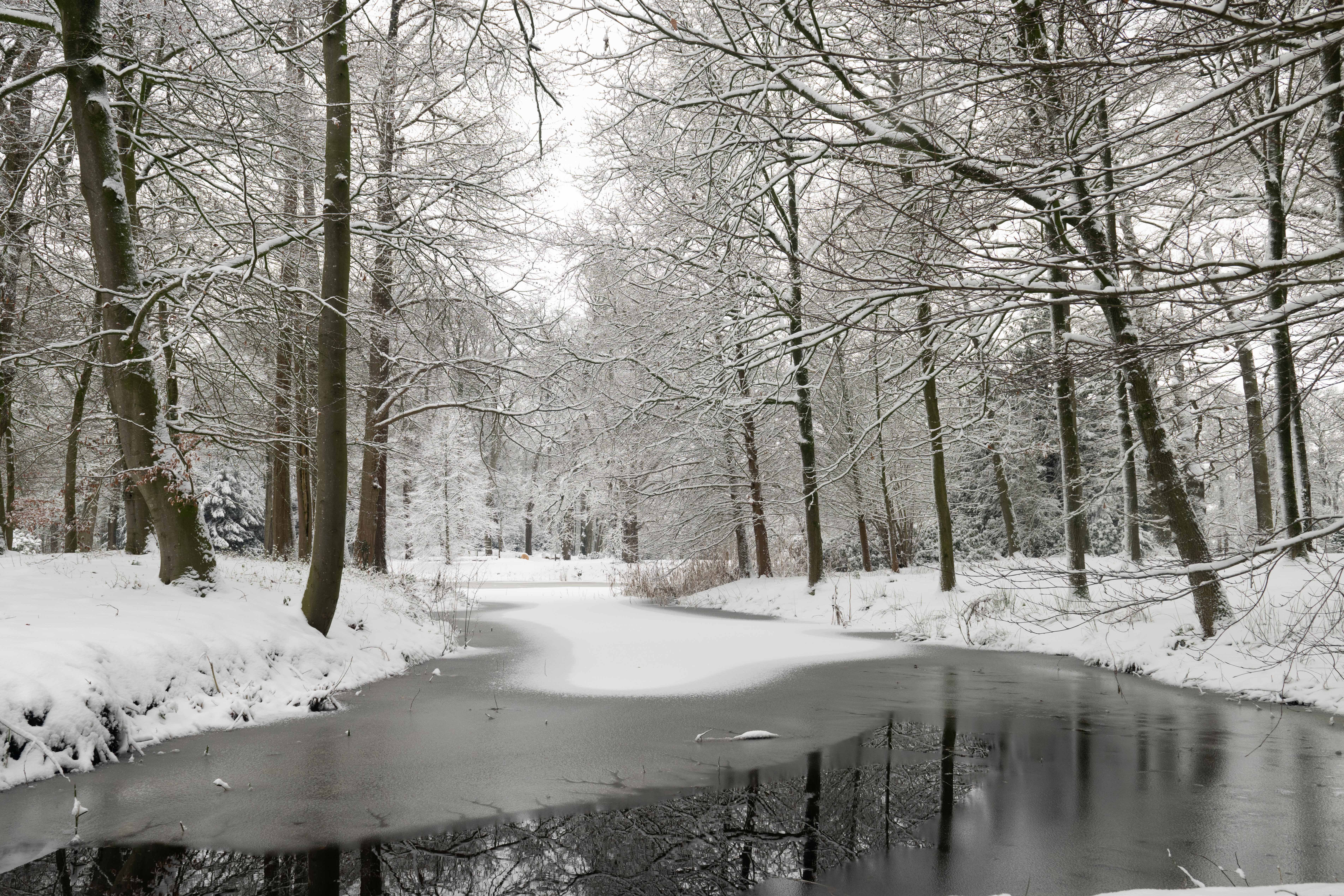 Oranjerie Oldenaller