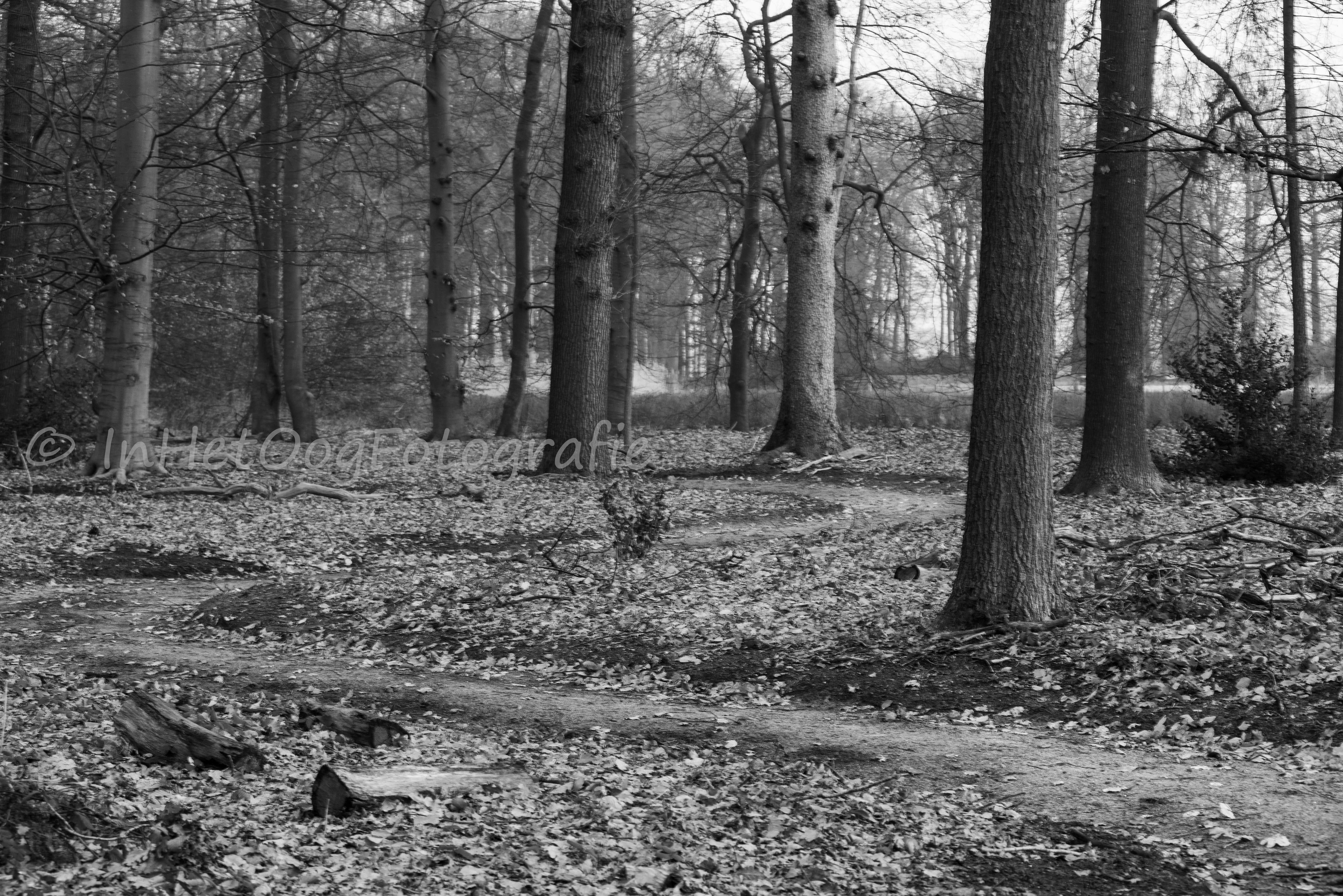 Landgoed Oldenaller