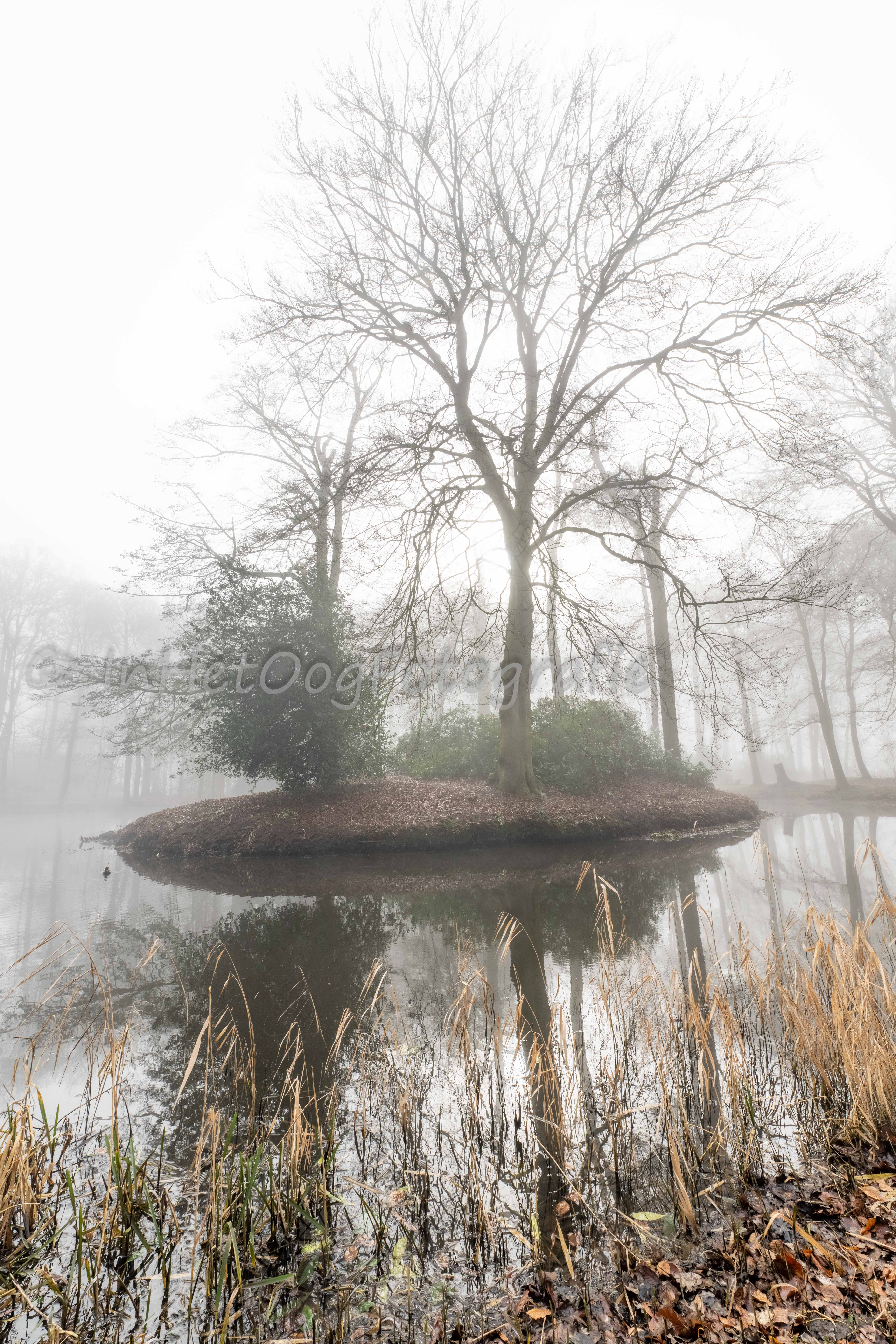 Landgoed Oldenaller