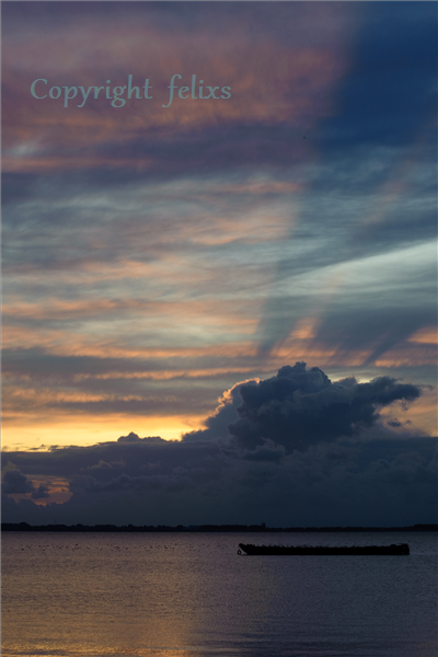 Palendijk mistige ochtend