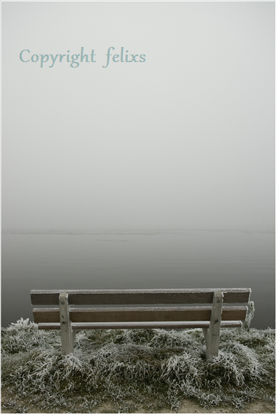 Palendijk fotografie